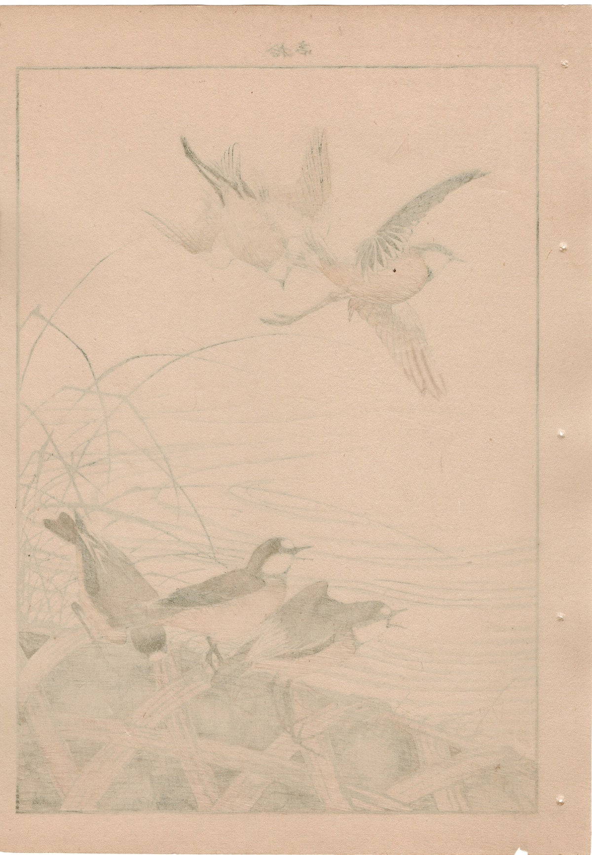 1892, Japanese Antique Original Woodblock Print, Imao Keinen, "Thatch, River plover"