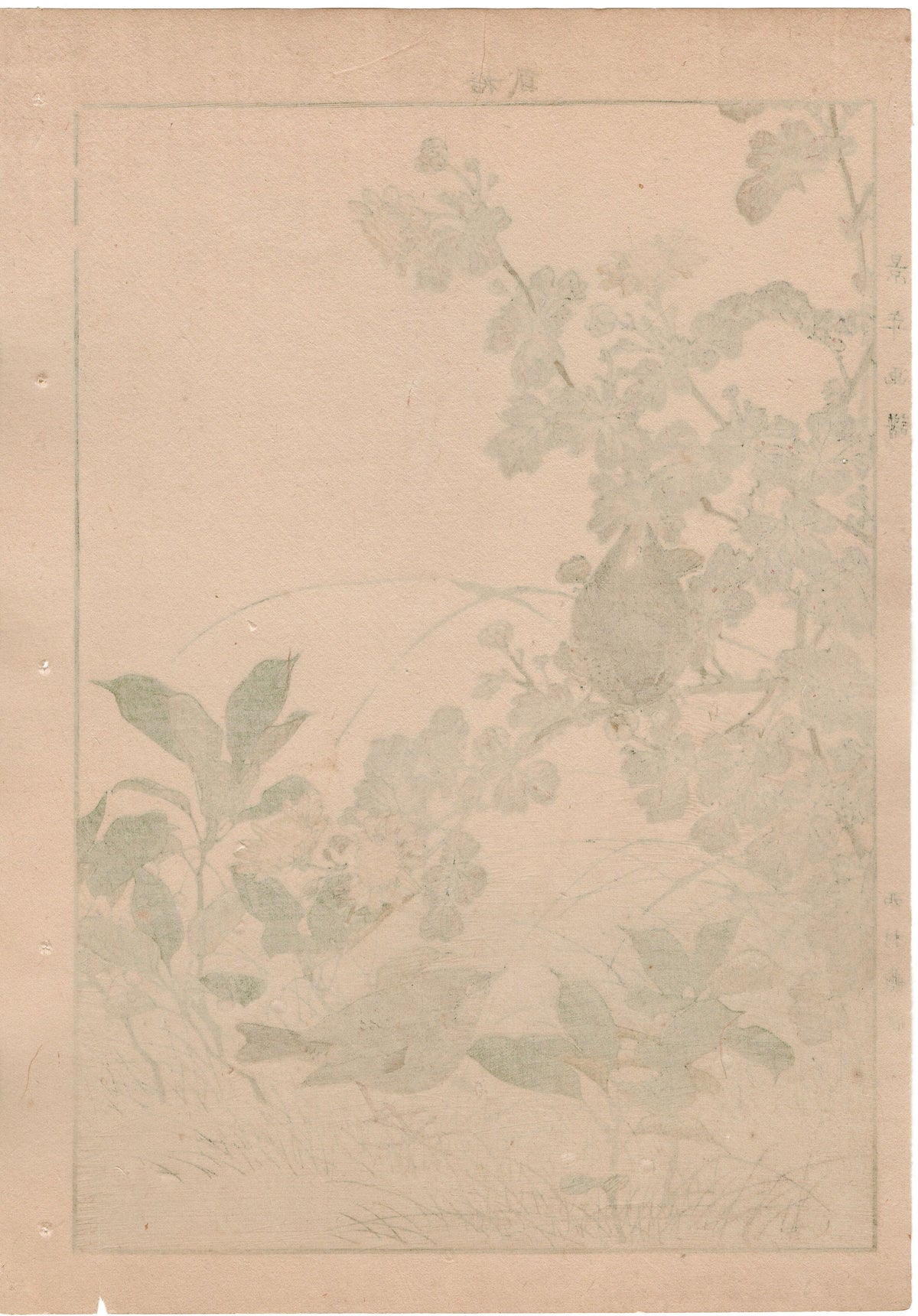 1892, Japanese Antique Original Woodblock Print, Imao Keinen, "Winter chrysanthemum, Ardisia japonica, Eurasian wren"