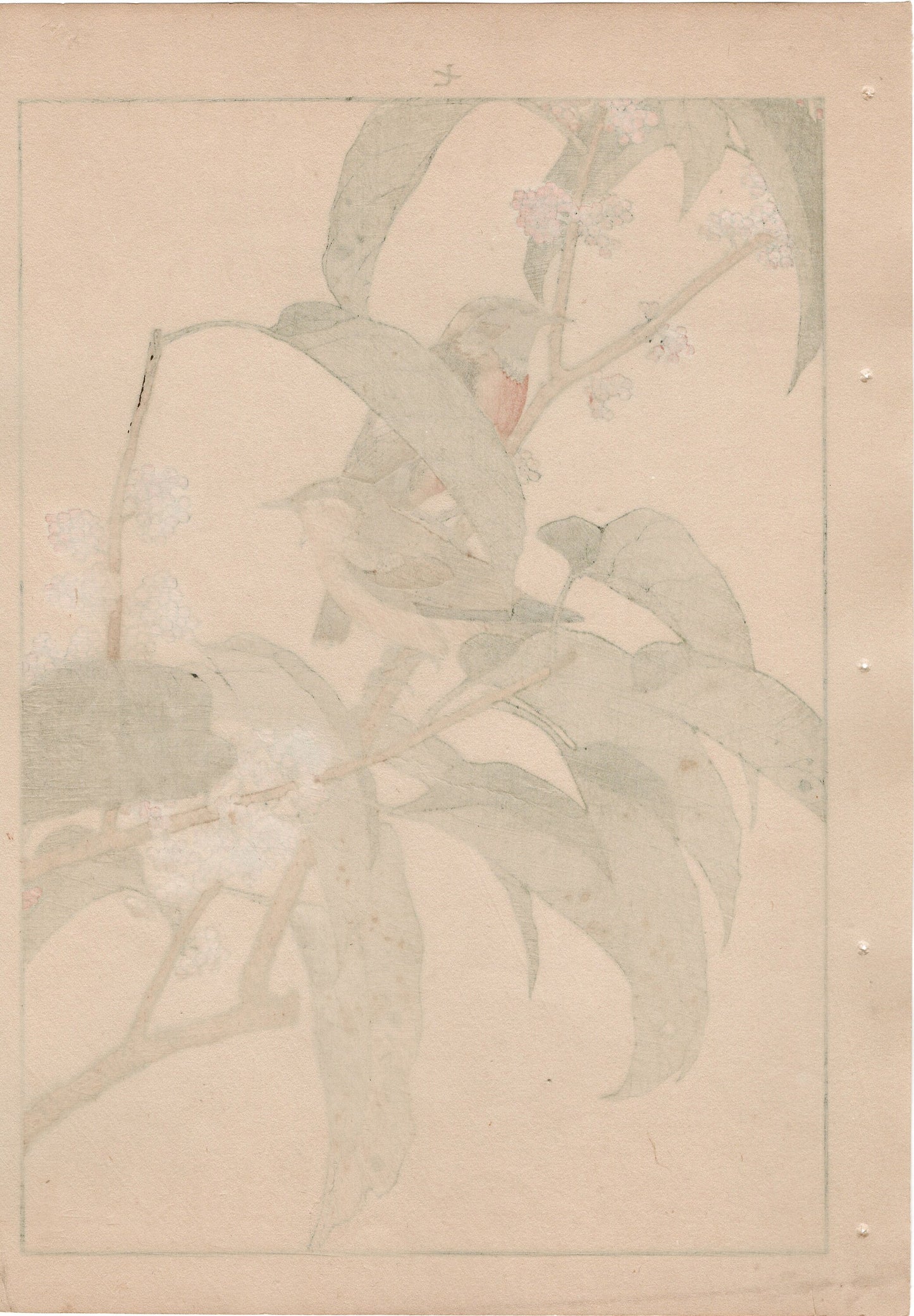 1892, Japanese Antique Original Woodblock Print, Imao Keinen, "Tamamizuki, Ryukyu's chats"
