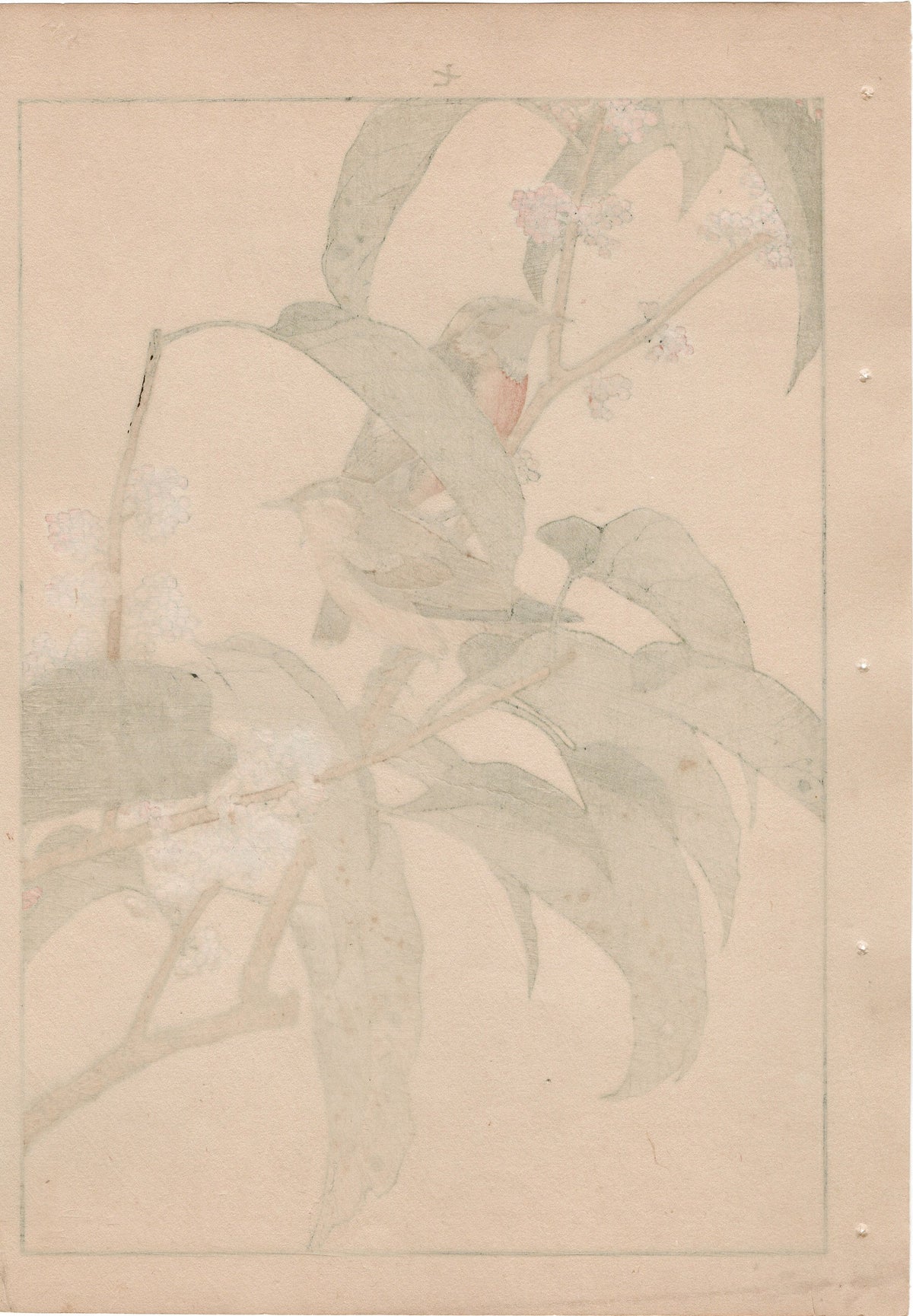 1892, Japanese Antique Original Woodblock Print, Imao Keinen, "Tamamizuki, Ryukyu's chats"