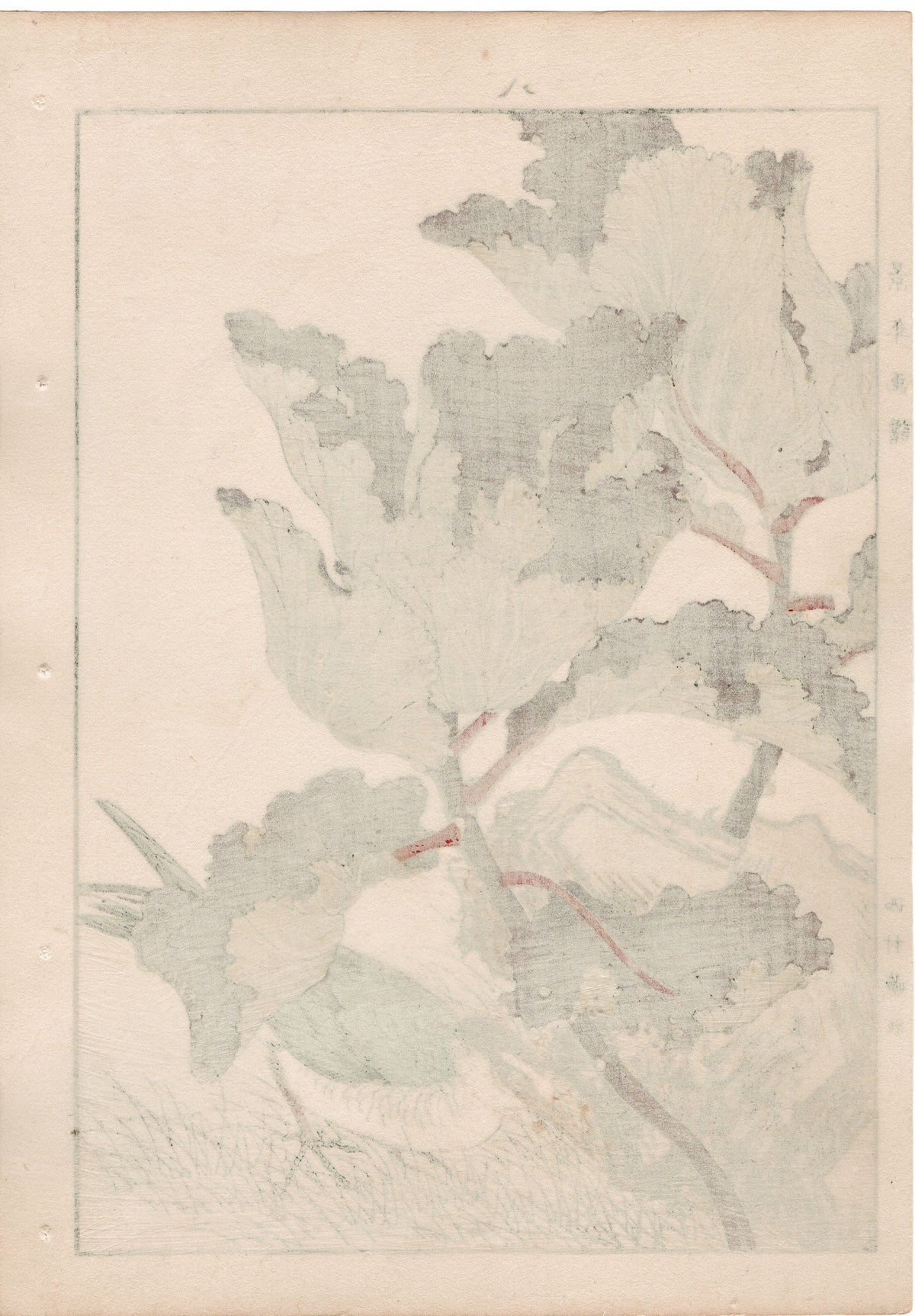 1892, Japanese Antique Original Woodblock Print, Imao Keinen, "Flowering kale, Kawarabashiri"
