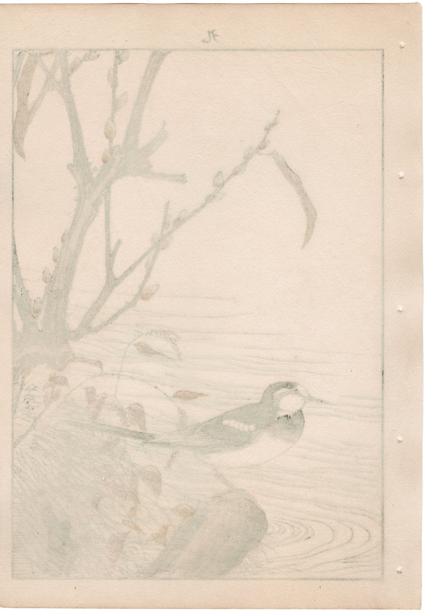 1892, Japanese Antique Original Woodblock Print, Imao Keinen, "Riverside willow, Wagtail"