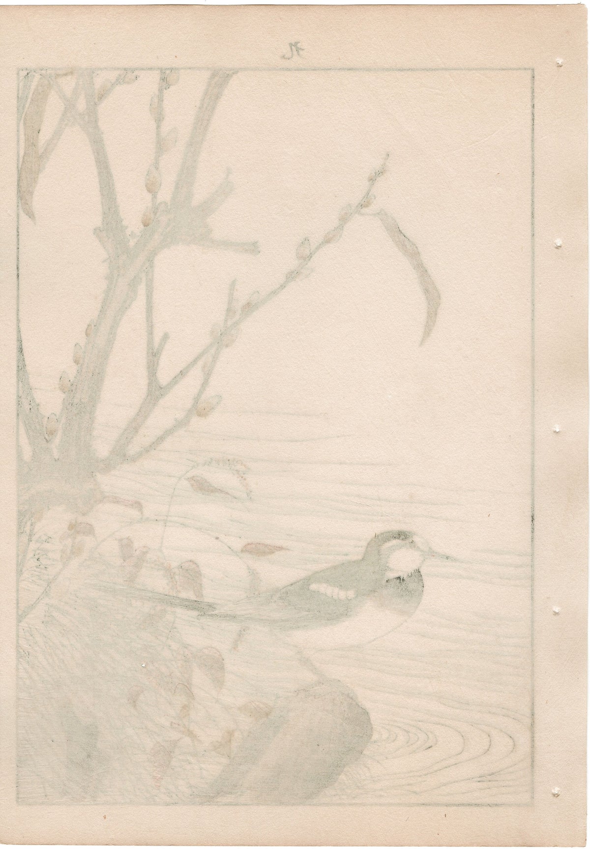 1892, Japanese Antique Original Woodblock Print, Imao Keinen, "Riverside willow, Wagtail"