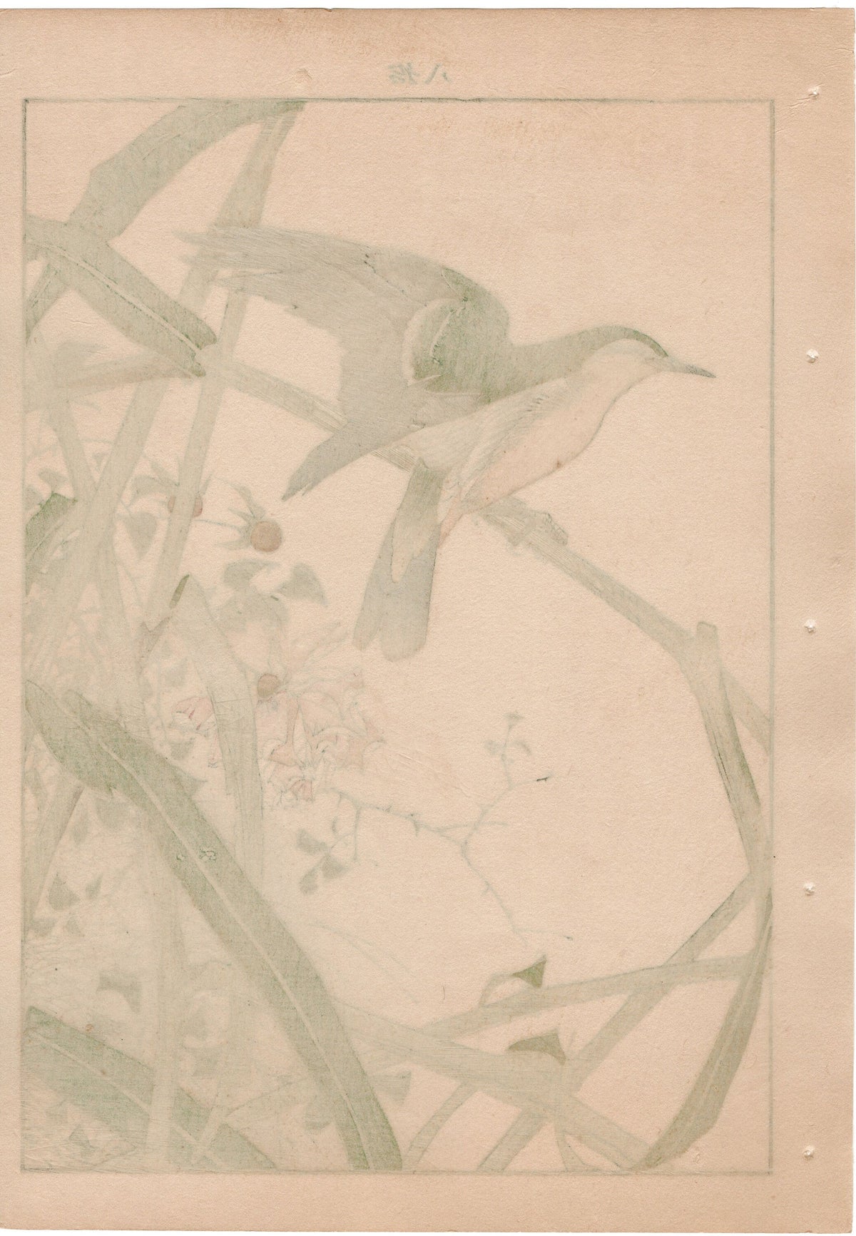 Japanese Antique Original Woodcut Print, 1892, Imao Keinen, "Common reed, Chinese rose, Oriental reed warbler"