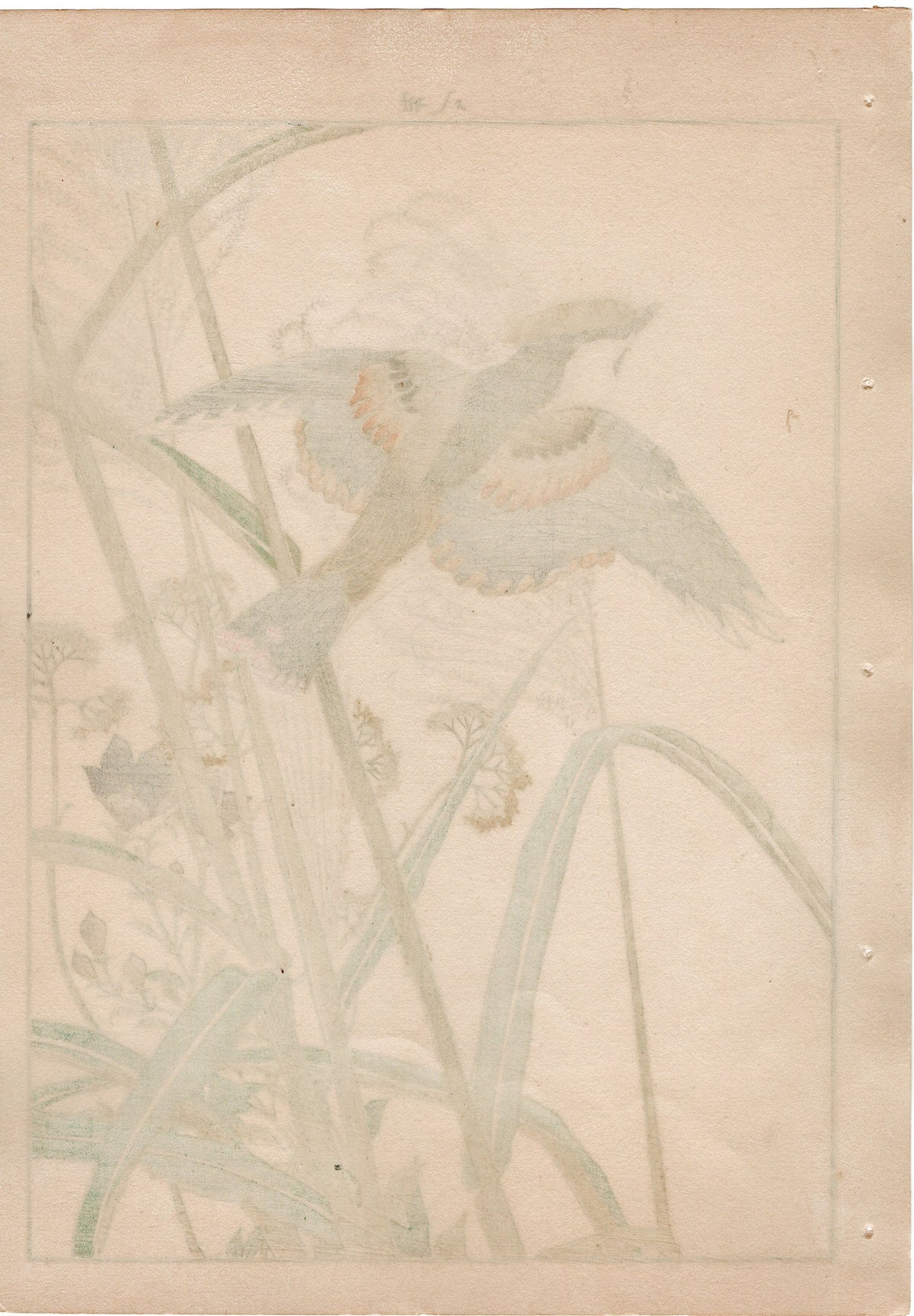 1892, Japanese Antique Original Woodblock Print, Imao Keinen, "Japanese silver grass, Japanese waxwing"