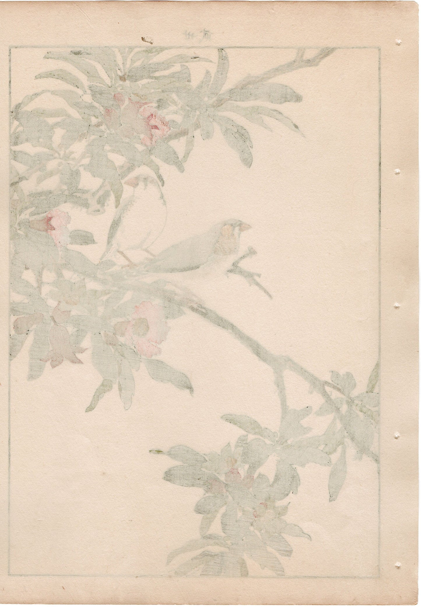 1892, Japanese Antique Original Woodblock Print, Imao Keinen, "Pomegranate flower, Kintaicho"