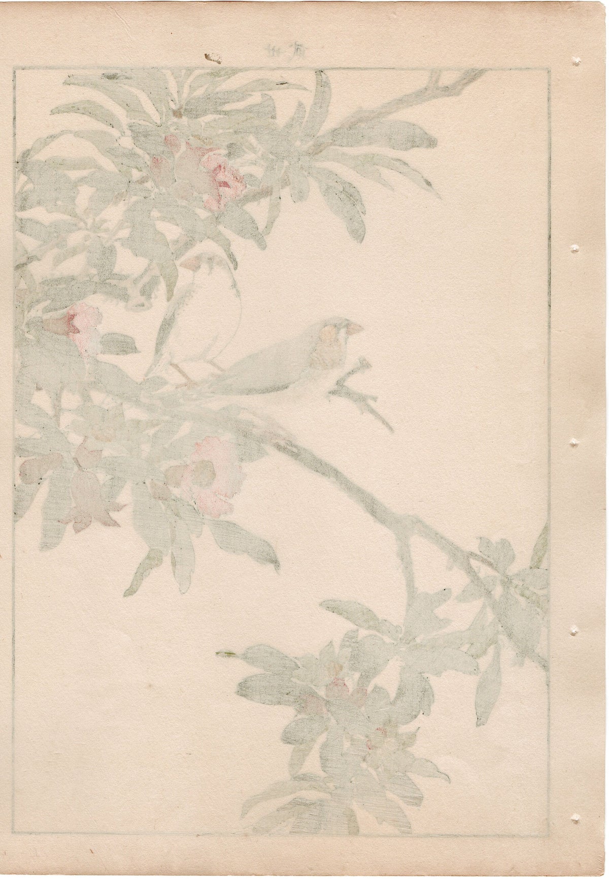 1892, Japanese Antique Original Woodblock Print, Imao Keinen, "Pomegranate flower, Kintaicho"