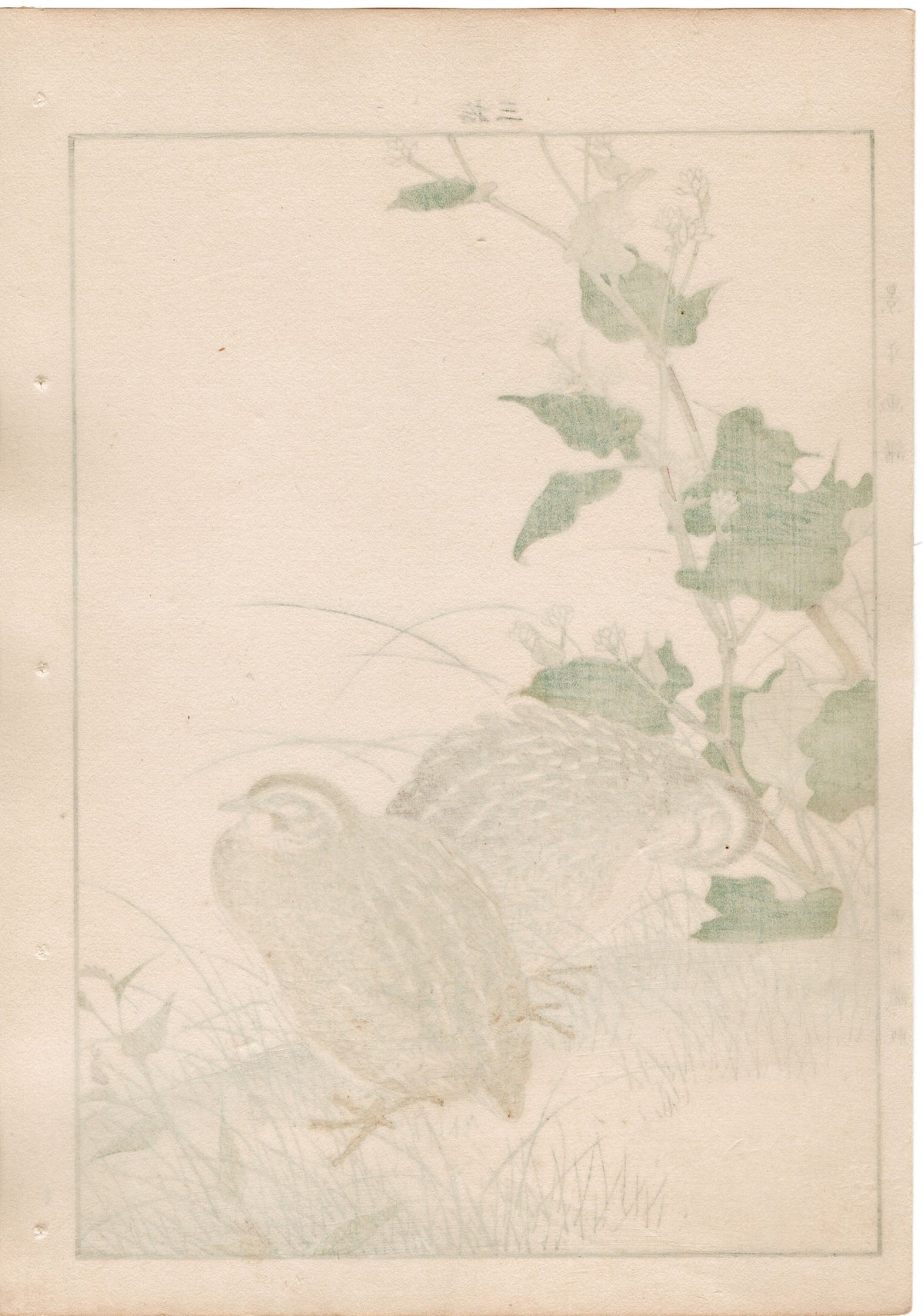1892, Japanese Antique Original Woodblock Print, Imao Keinen, "Buckwheat flower, Quail"