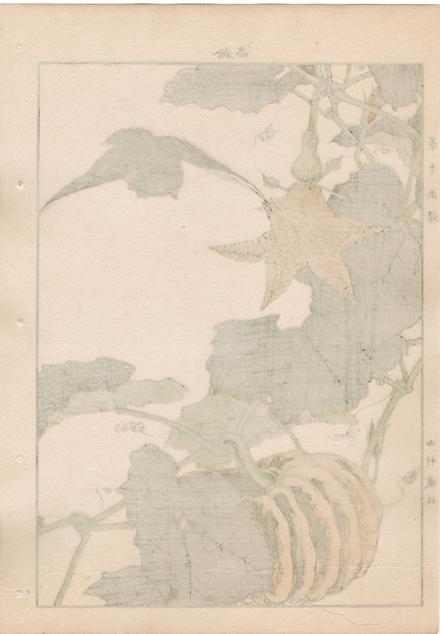 1892, Japanese Antique Original Woodblock Print, Imao Keinen, "Pumpkin, Blackbird"