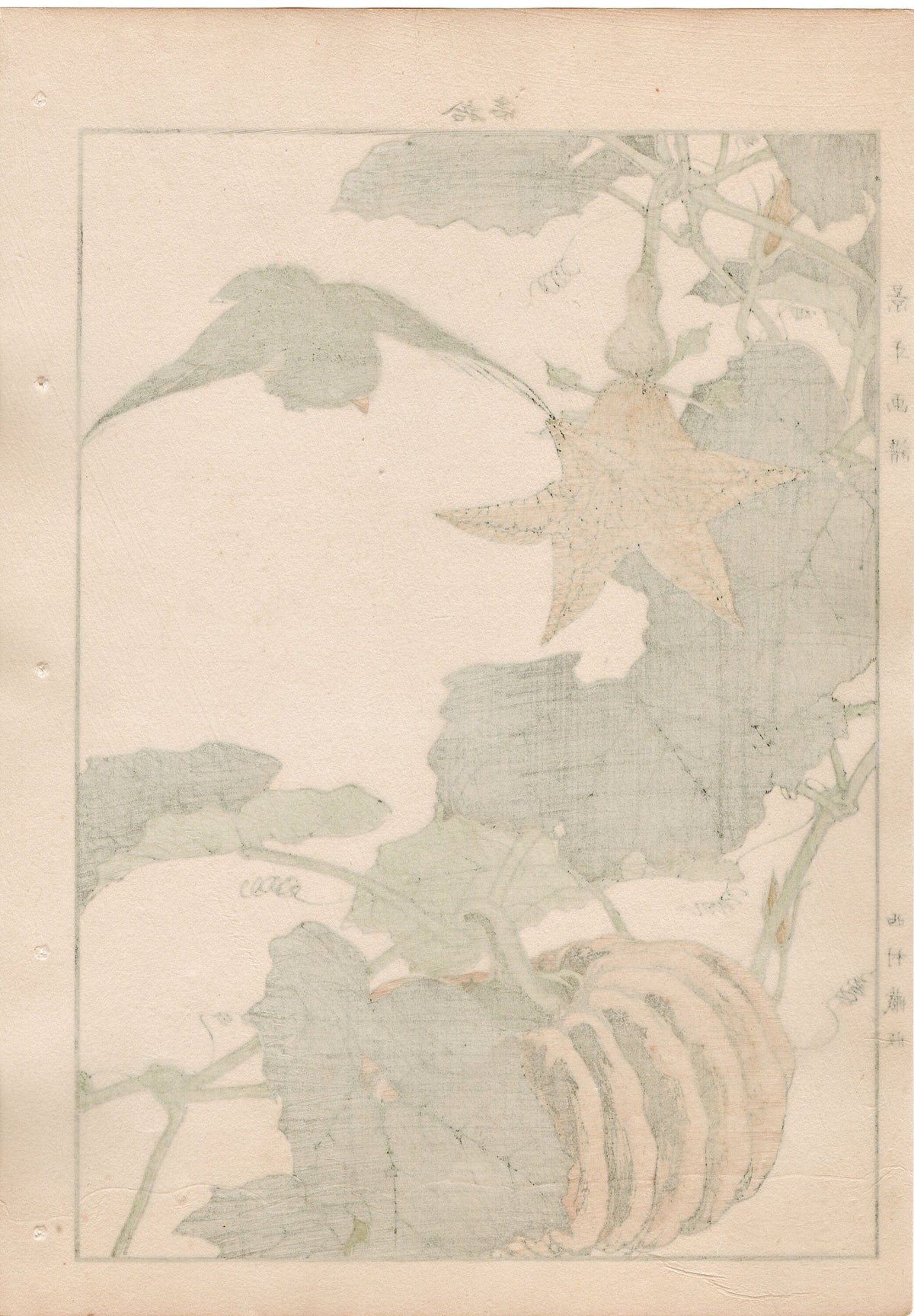 1892, Japanese Antique Original Woodblock Print, Imao Keinen, "Pumpkin, Blackbird"