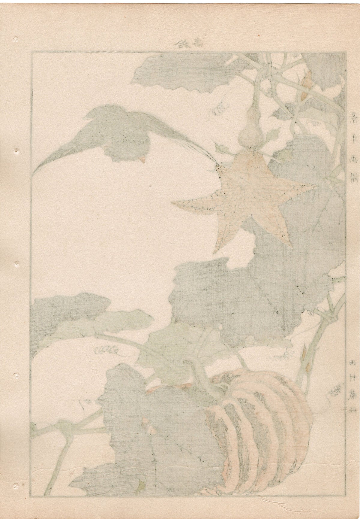 1892, Japanese Antique Original Woodblock Print, Imao Keinen, "Pumpkin, Blackbird"