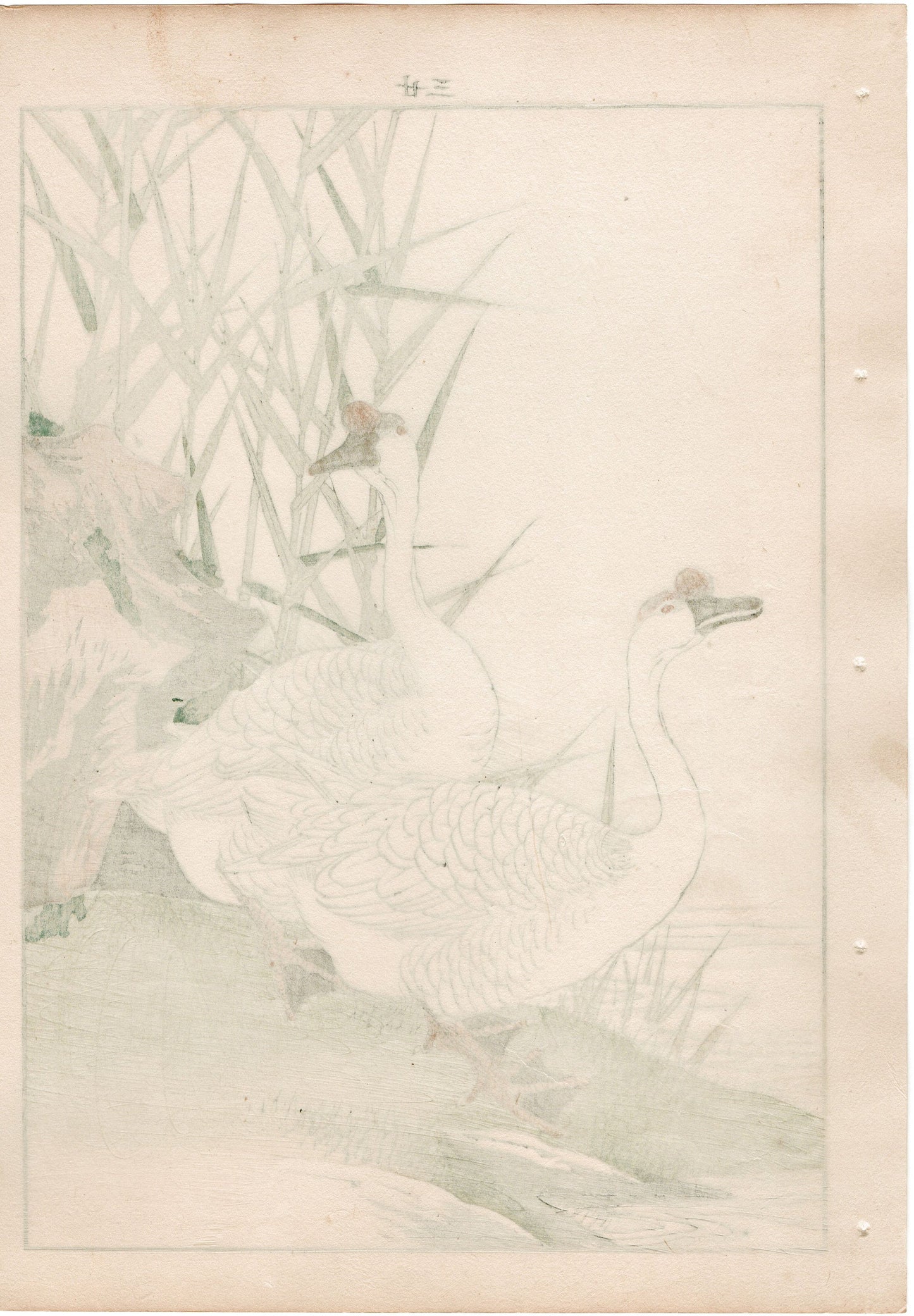 Japanese Antique Original Woodcut Print, 1892, Imao Keinen, "Reed, Goose"