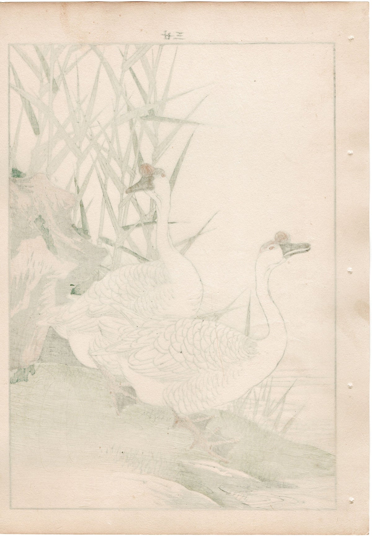 1892, Japanese Antique Original Woodblock Print, Imao Keinen, "Reed, Goose"