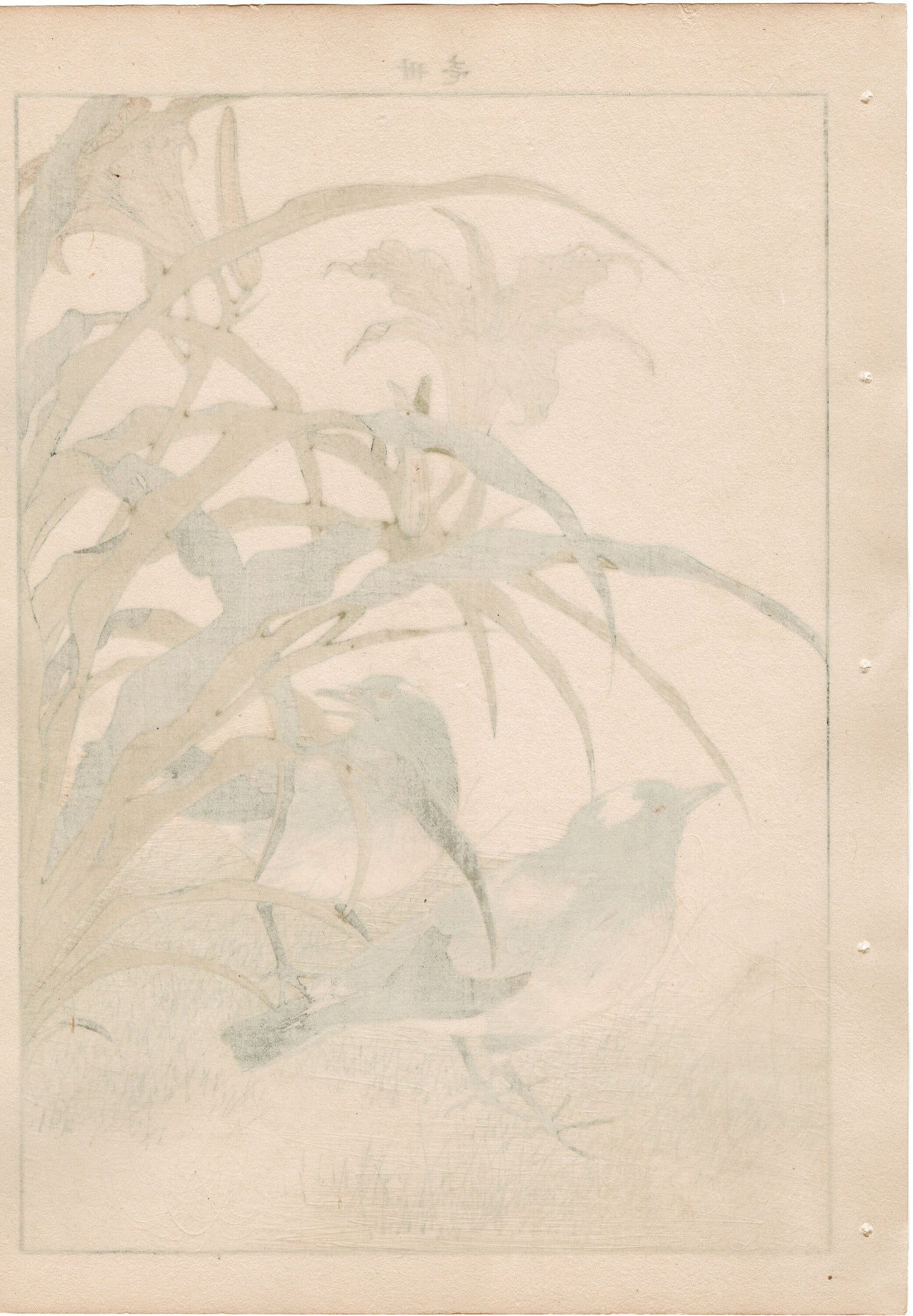 1892, Japanese Antique Original Woodblock Print, Imao Keinen, " Orange Daylily (Kanzo), Thrush (Kachintsumugi) "