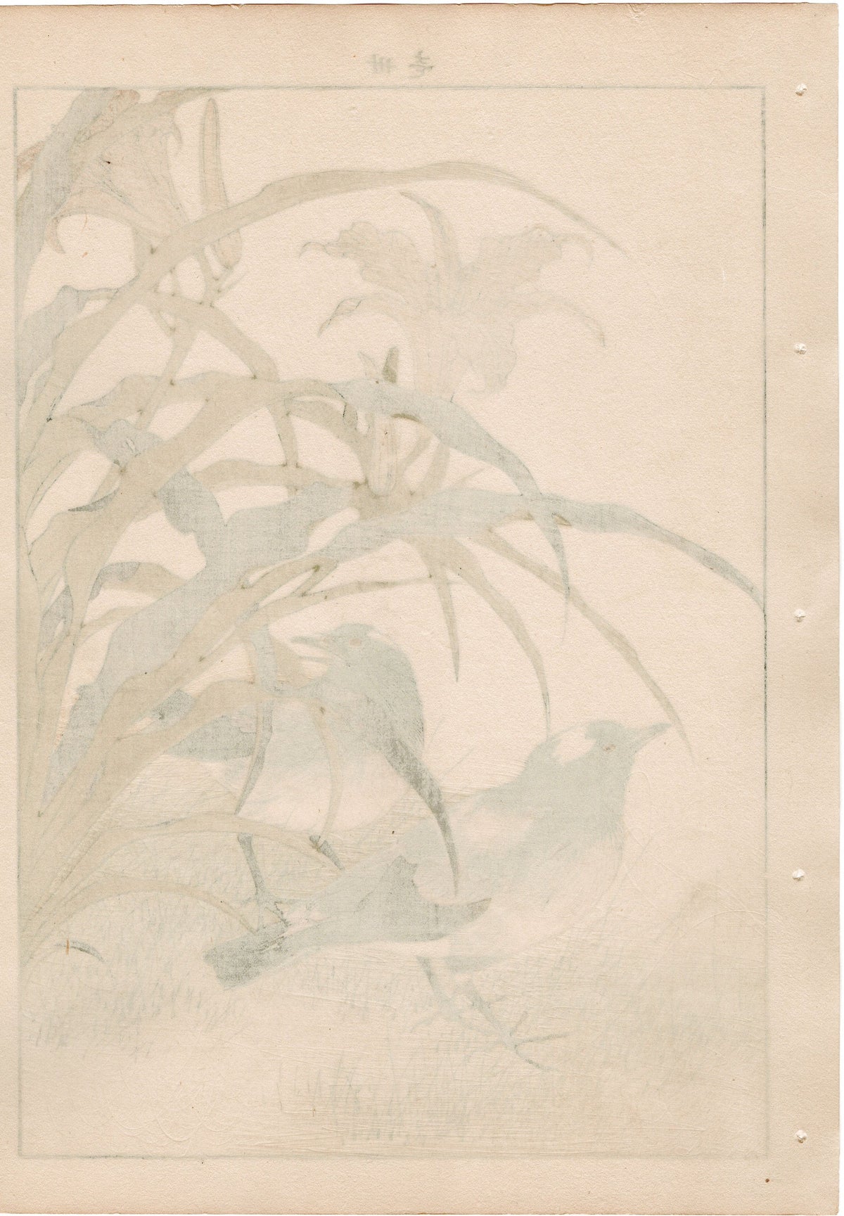 1892, Japanese Antique Original Woodblock Print, Imao Keinen, " Orange Daylily (Kanzo), Thrush (Kachintsumugi) "