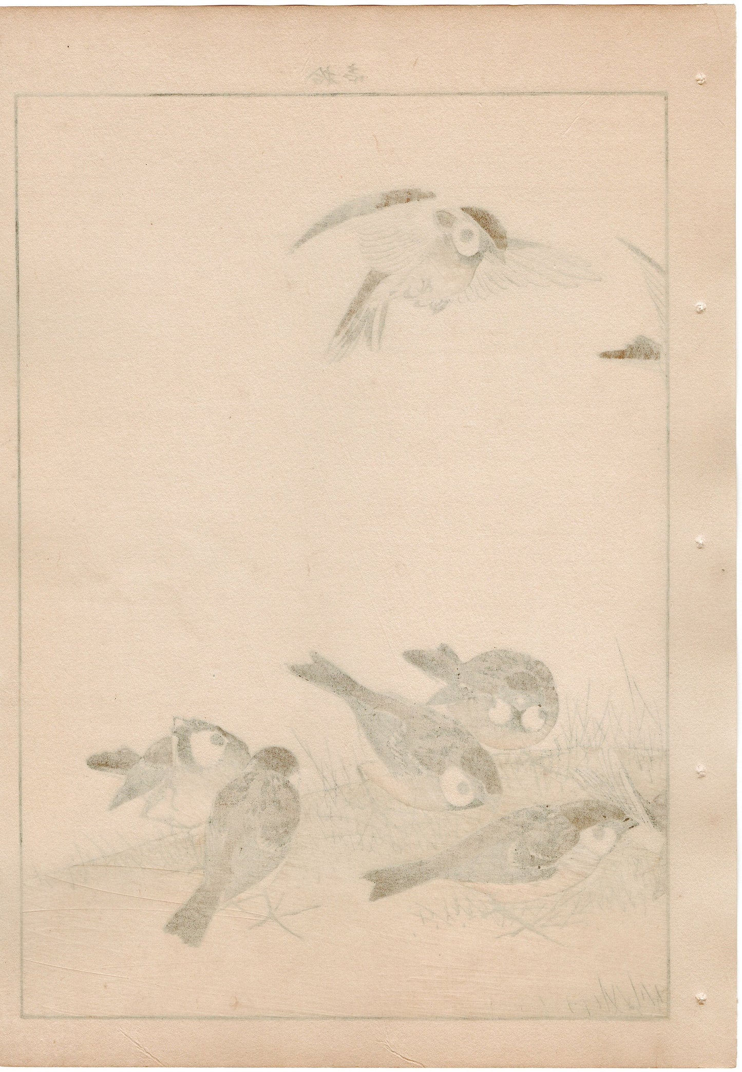 Japanese Antique Original Woodcut Print, 1892, Imao Keinen, " Asian melastome (Nobotan), Sparrows (Suzume) "