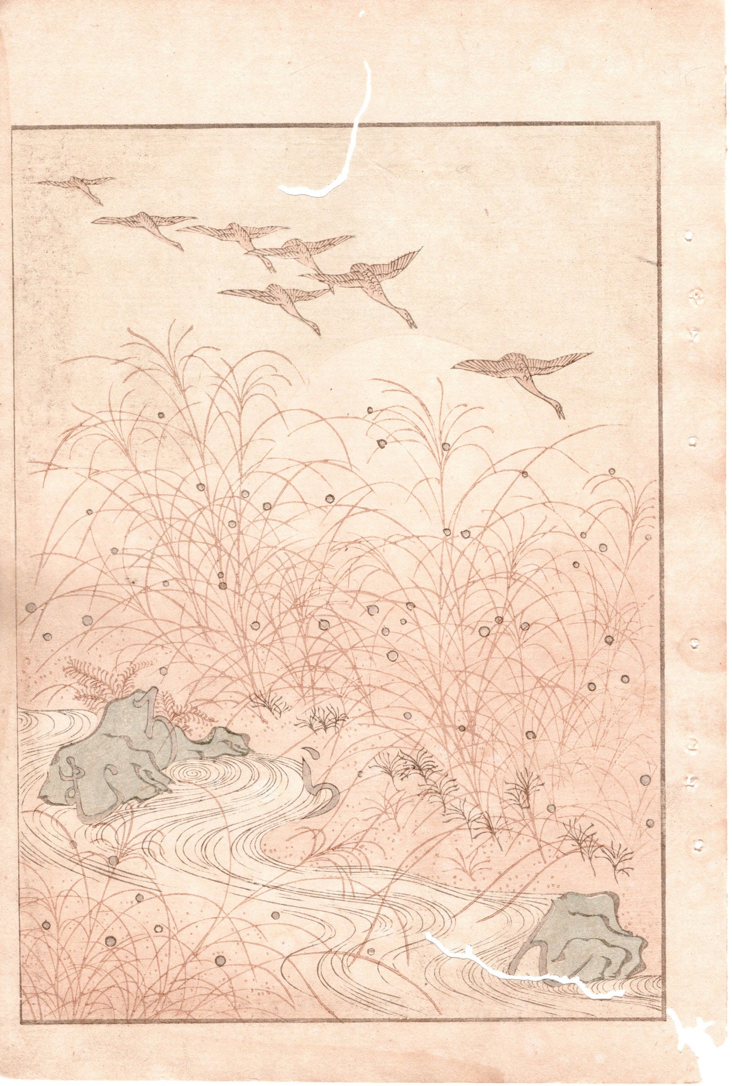 Japanese Antique Original Woodcut Print, c 1900, Bijutsukai 2, Sekka, Korin