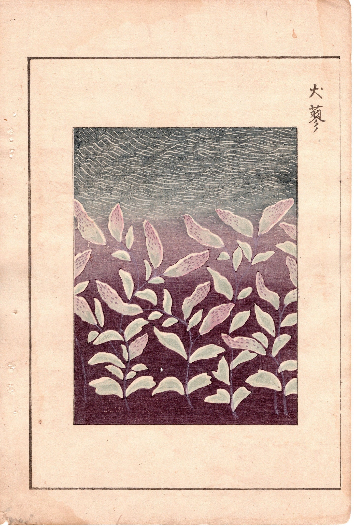 Japanese Antique Original Woodcut Print, c 1900, Bijutsukai 3, Sekka, Korin