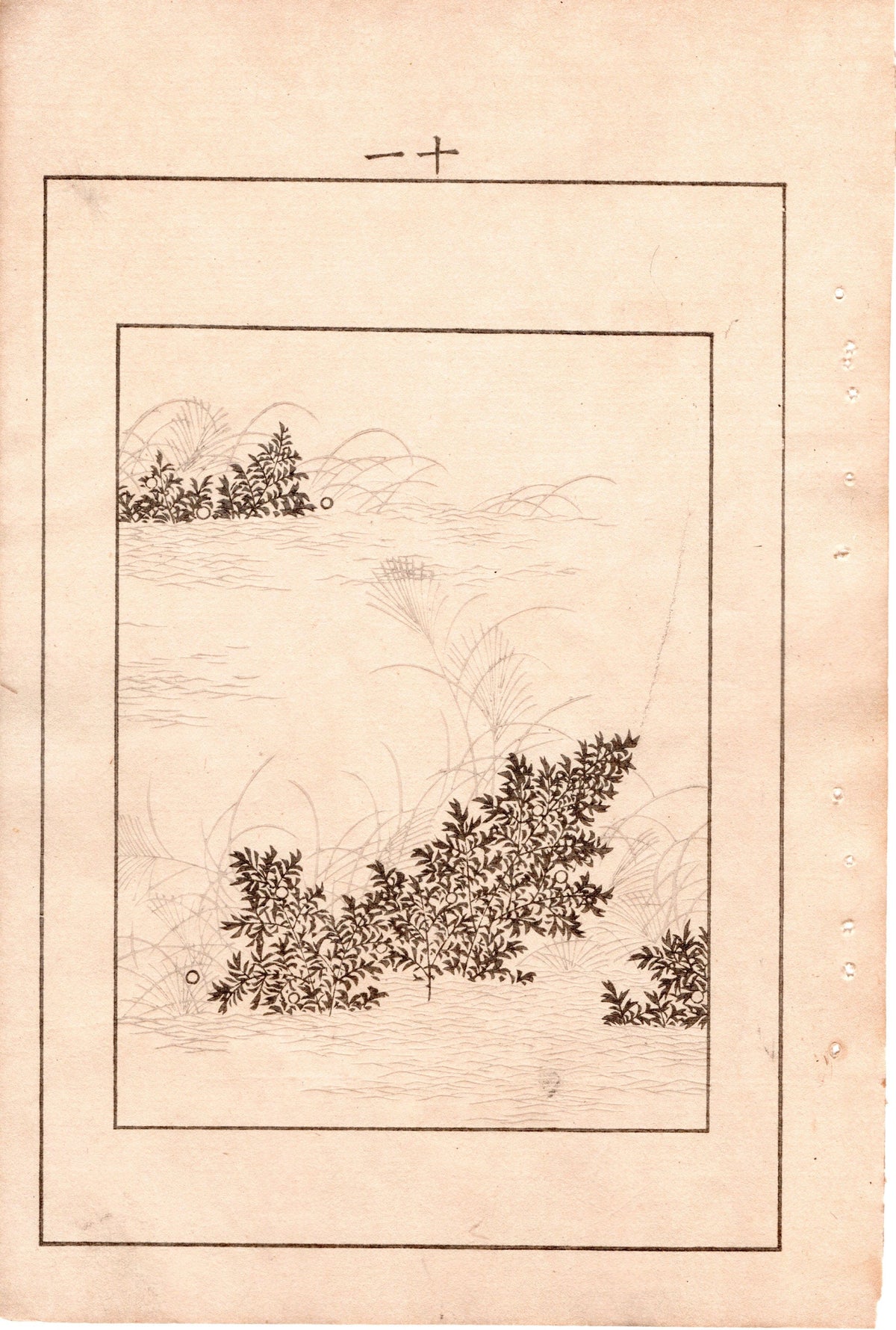 Japanese Antique Original Woodcut Print, c 1900, Bijutsukai 4, Sekka, Korin