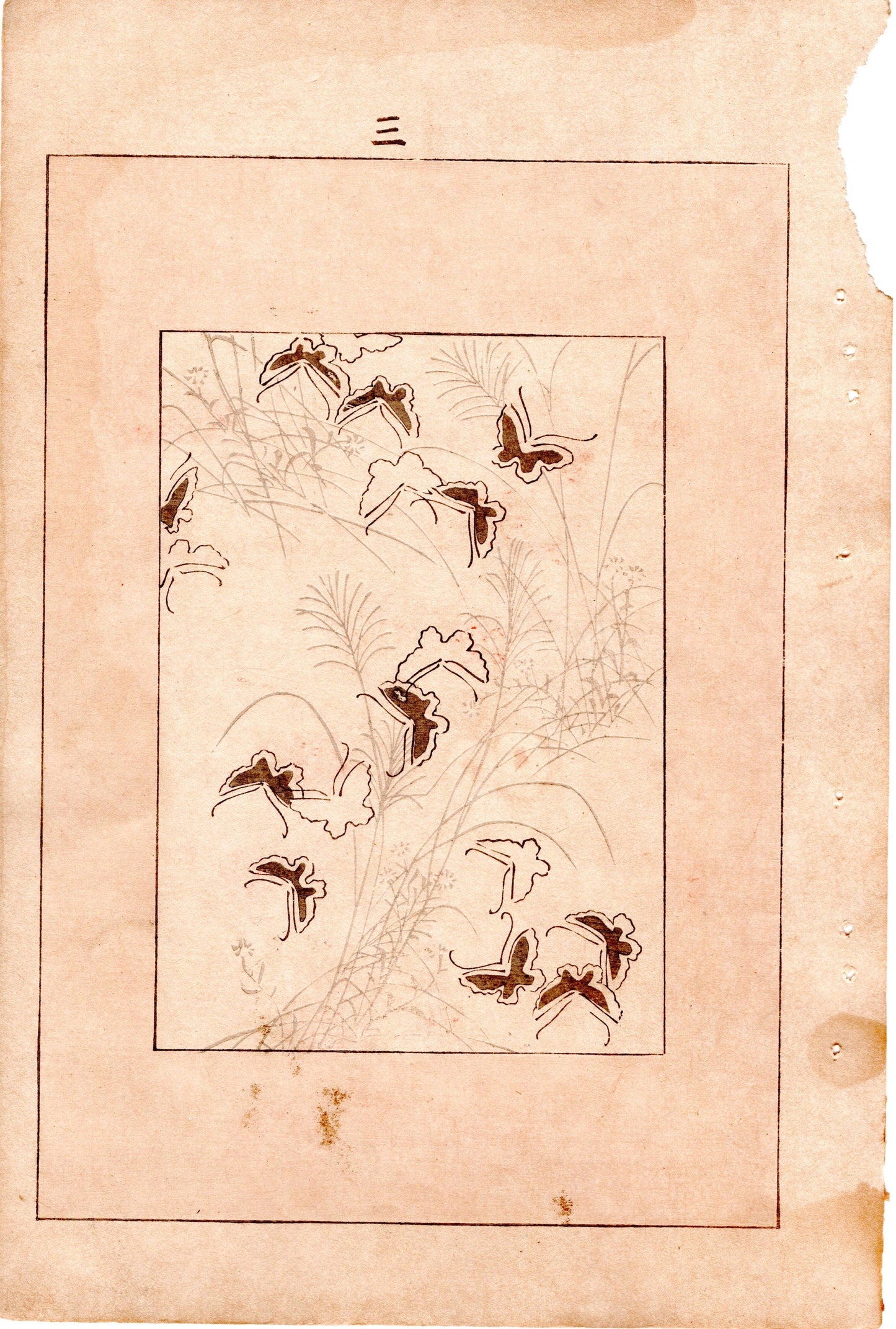 Japanese Antique Original Woodcut Print, c 1900, Bijutsukai 4, Sekka, Korin
