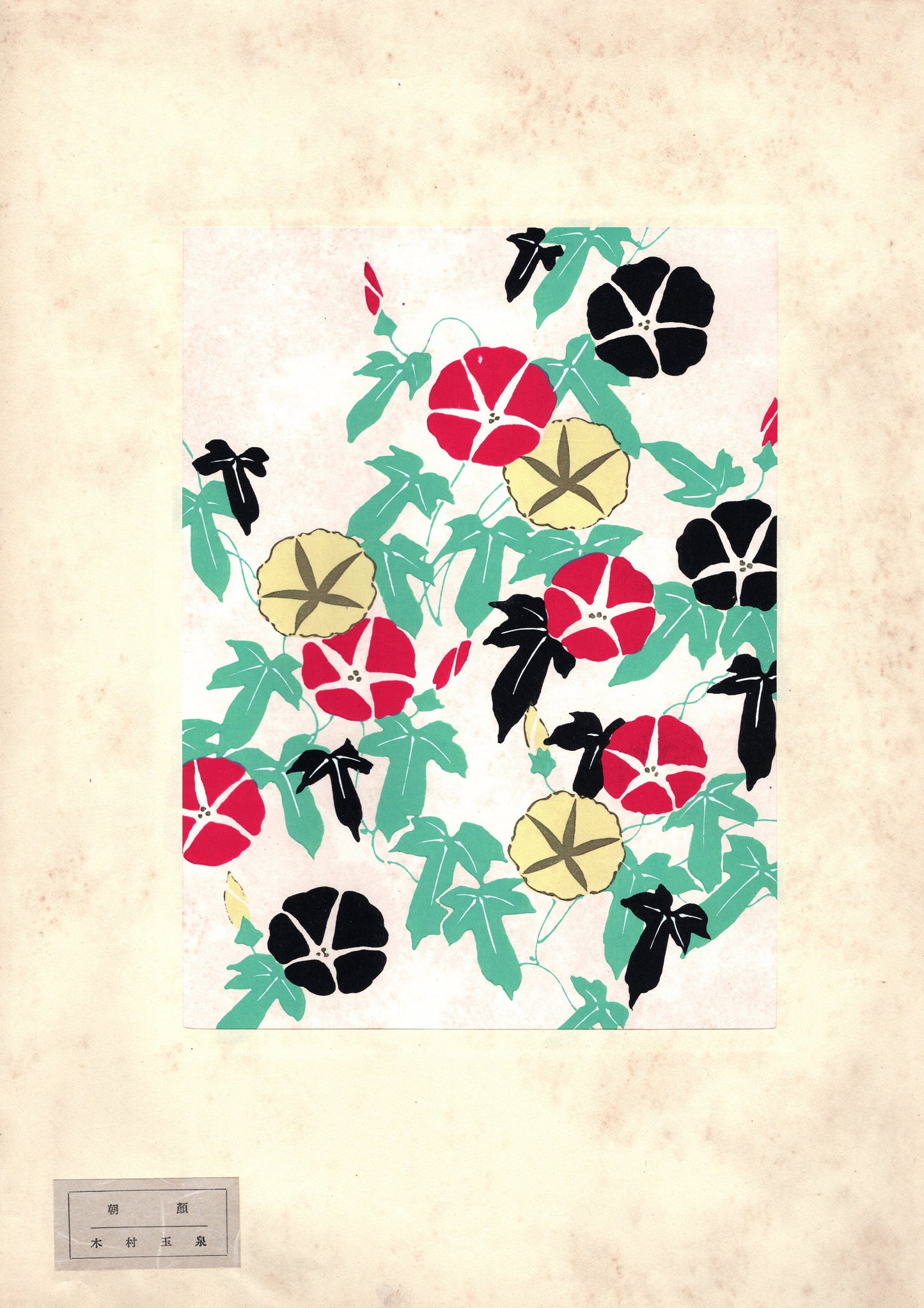 Japanese antique woodblock print, 1939, Kimura Gyokusen, Morning glory.