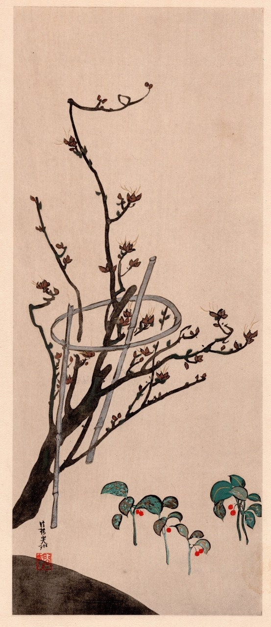 Japanese woodblock print, 1904, Ogata Korin