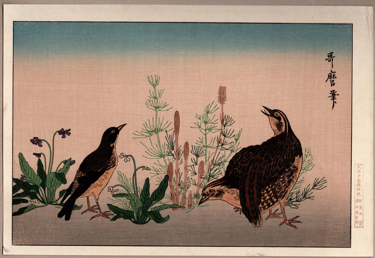 Japanese woodblock print, Utamaro, "Quail and Skylark"