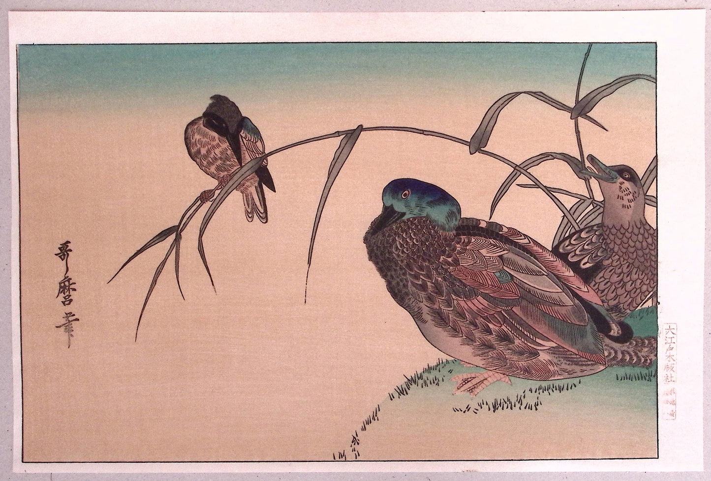 Japanese Ukiyoe, woodcut print, Utamaro, "Mallard Ducks (Kamo) and Kingfisher (Kawasemi)"