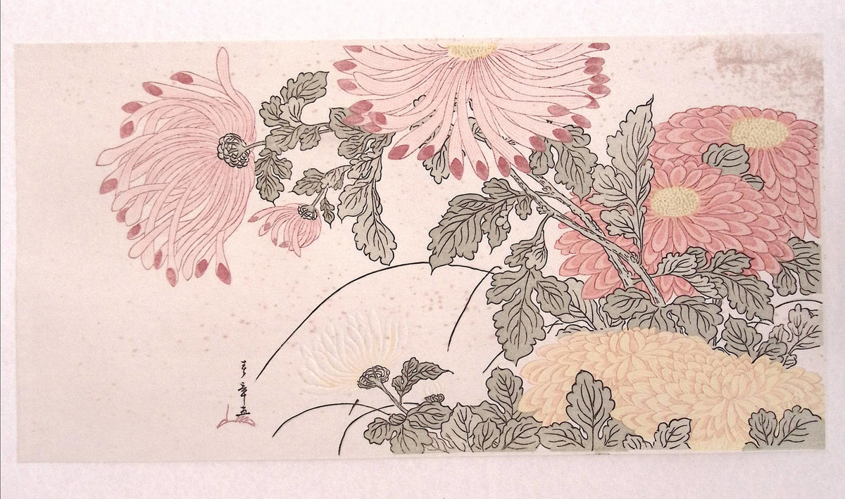Japanese Ukiyoe, woodcut print, Katsukawa Shunsho, "Chrysanthemums"