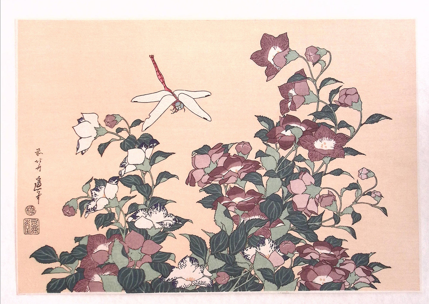 Japanese Ukiyo-e, Woodcut print, Hokusai, "Bellflower and Dragonfly"