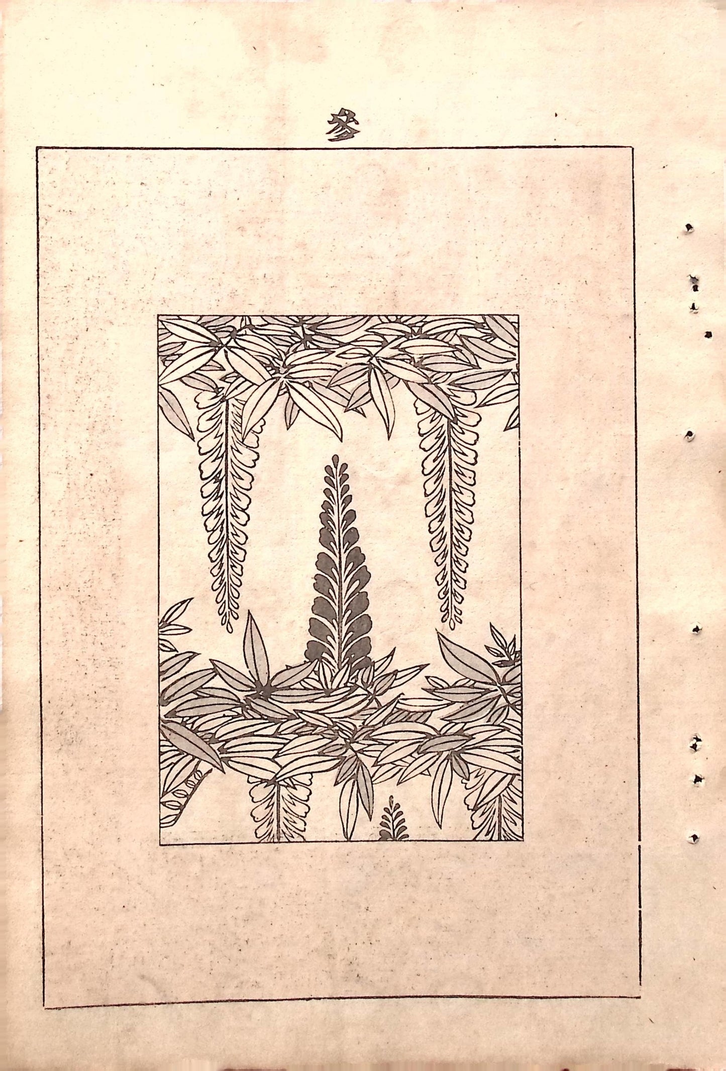 Japanese Antique Original Woodcut Print, c 1900, Bijutsukai 5, Sekka, Korin