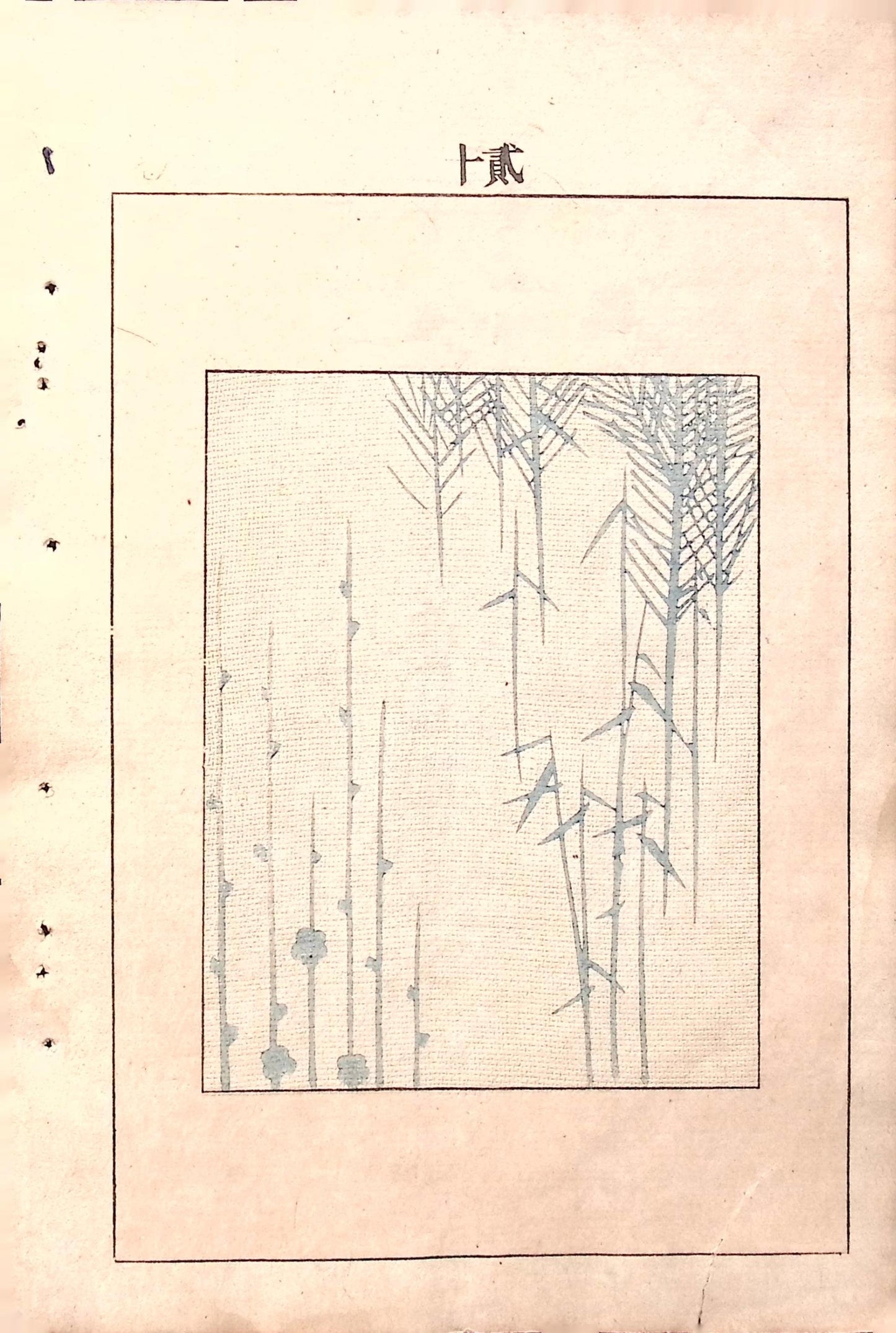 Japanese Antique Original Woodcut Print, c 1900, Bijutsukai 5, Sekka, Korin