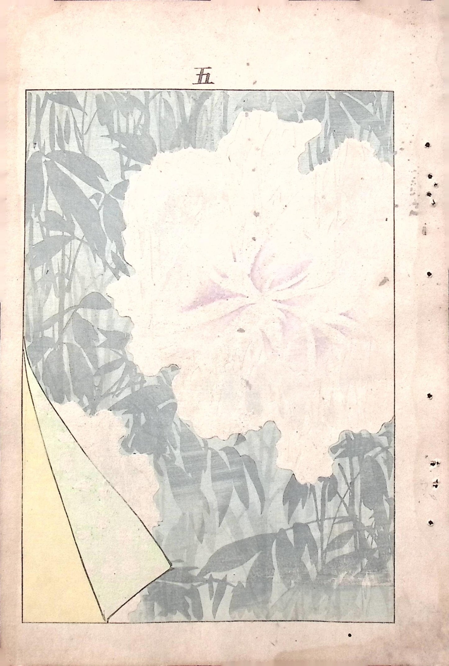 Japanese Antique Original Woodcut Print, c 1900, Bijutsukai 6, Sekka, Korin