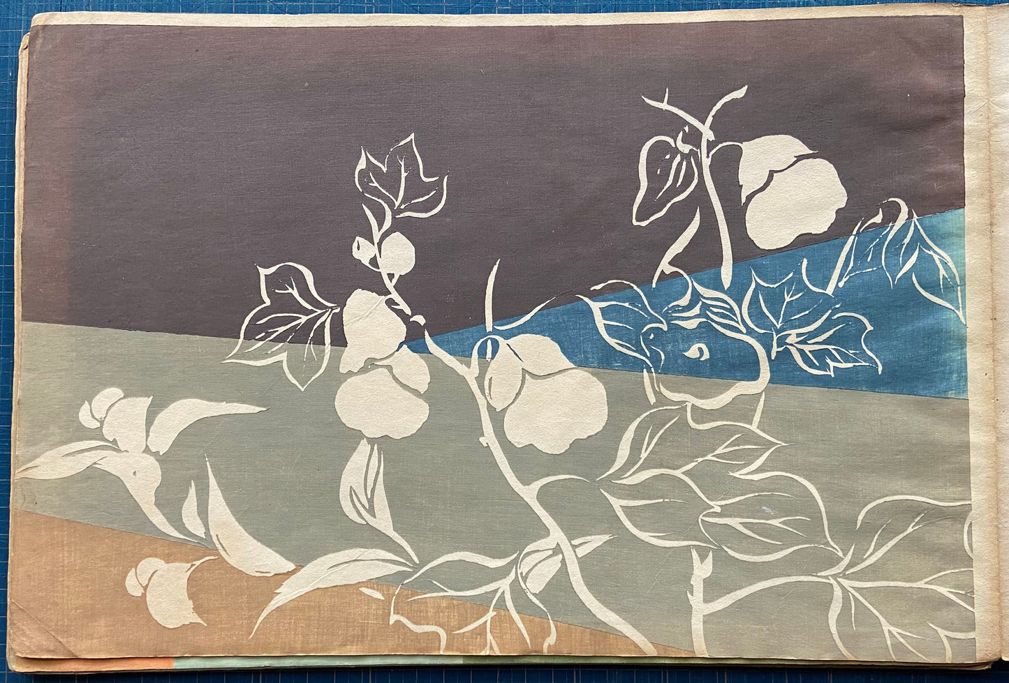 Japanese design, woodcut print, 1903, Kamisaka Sekka, Chikusa.