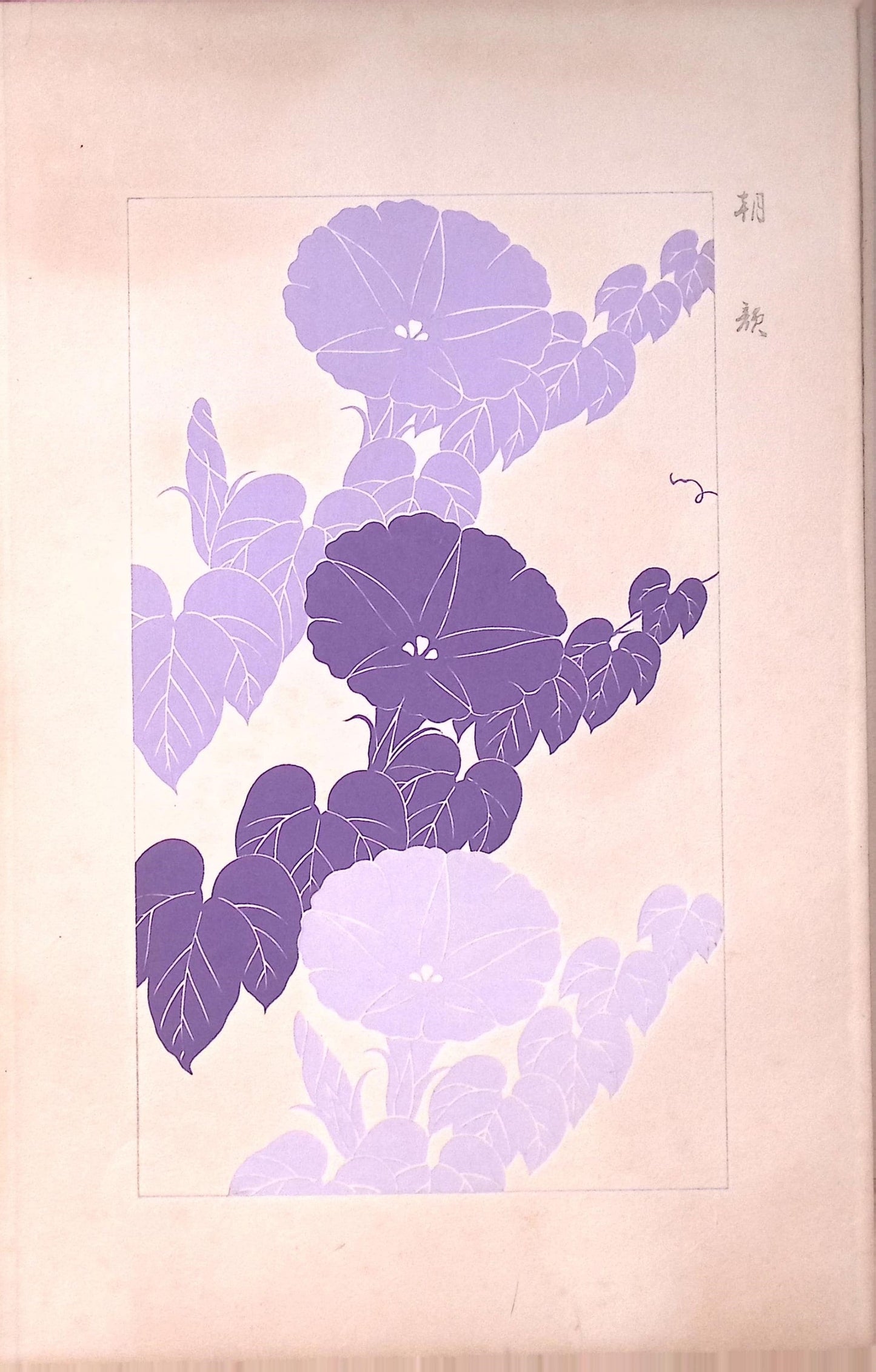 Japanese design, antique, woodcut print, 1932, Kawarazaki Kodo, morning glory