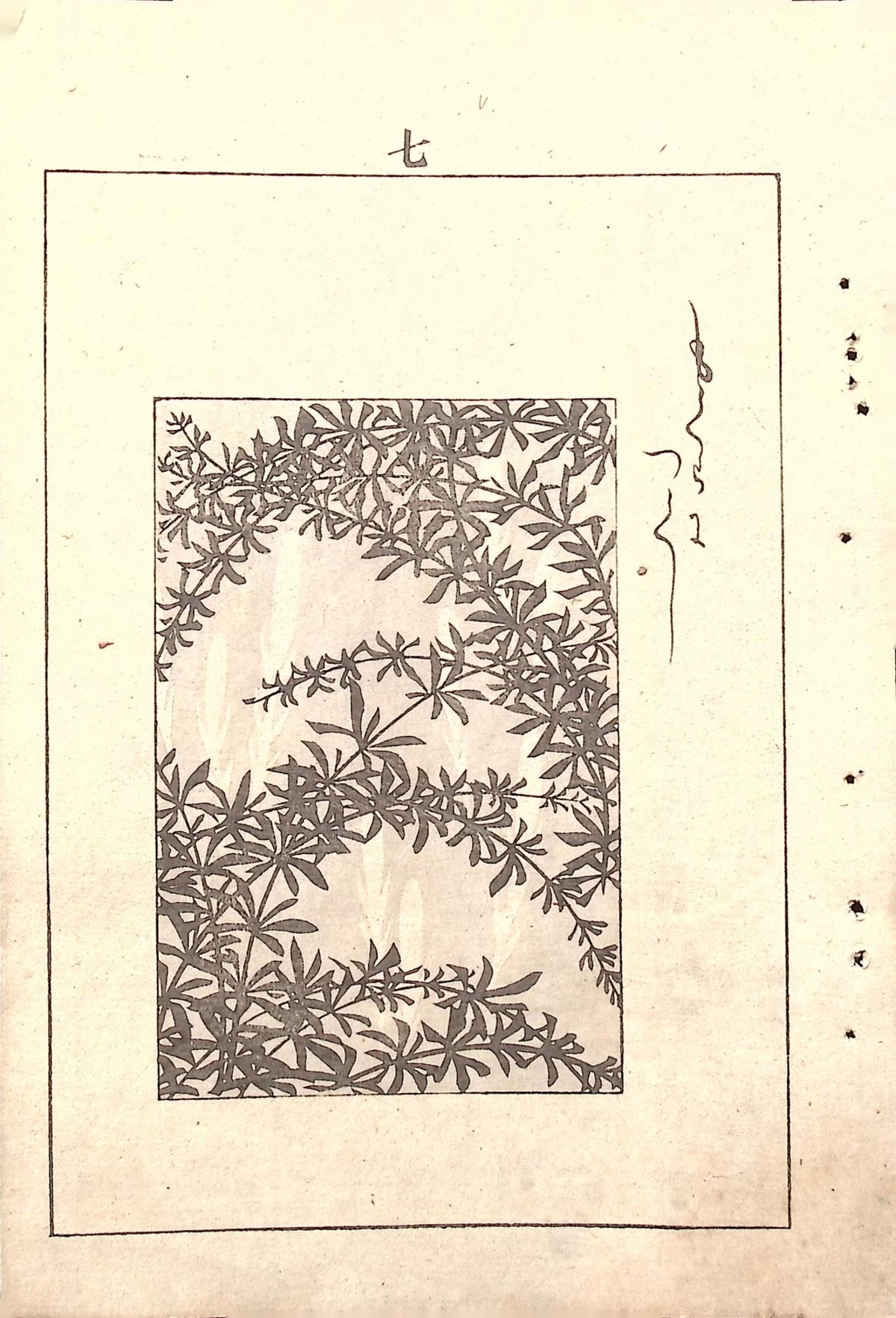 Japanese Antique Original Woodcut Print, c 1900, Bijutsukai 5, Sekka, Korin