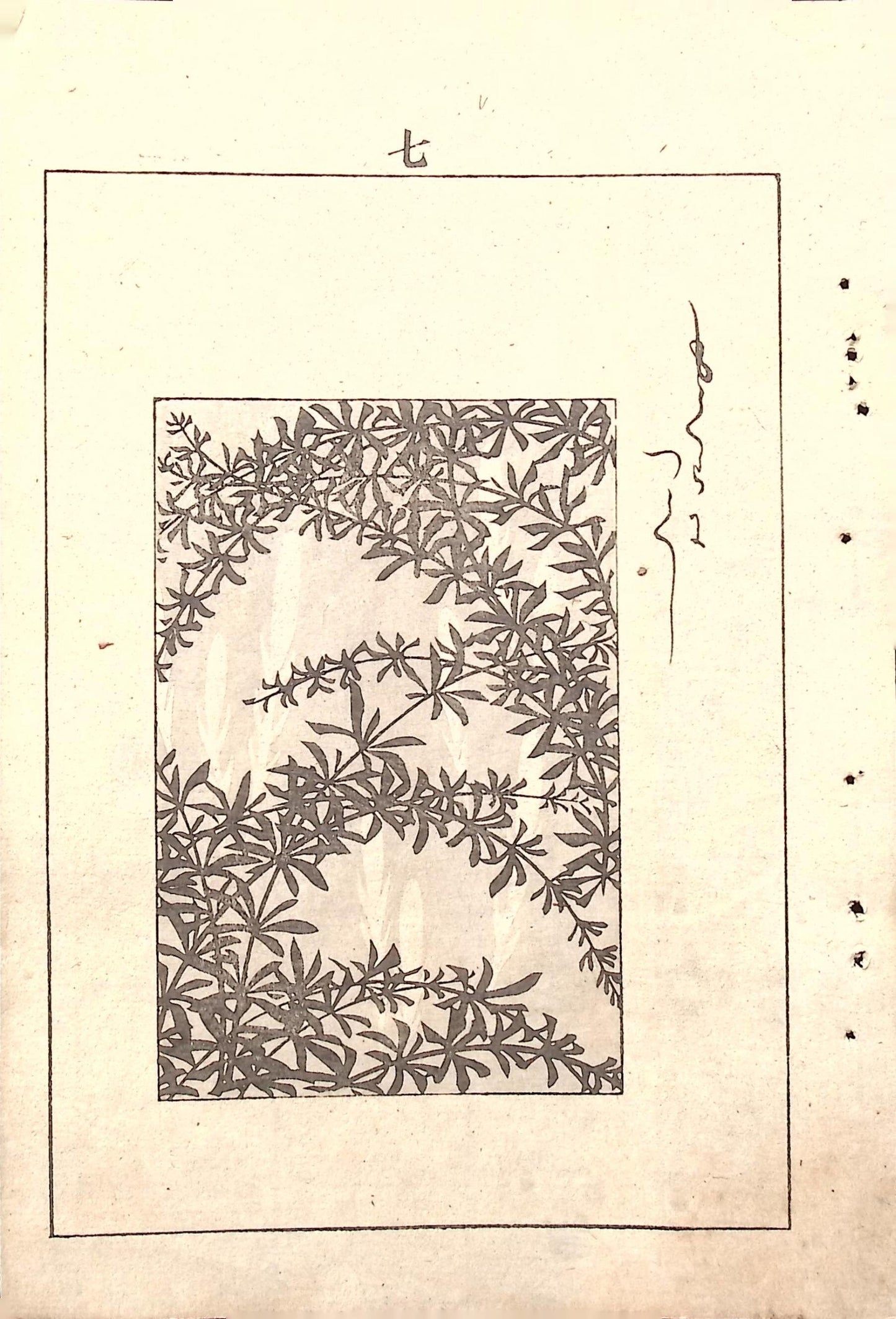 Japanese Antique Original Woodcut Print, Japanese design, Around 1900, Bijutsukai 5, Antique Japanese print, Kimono Design.