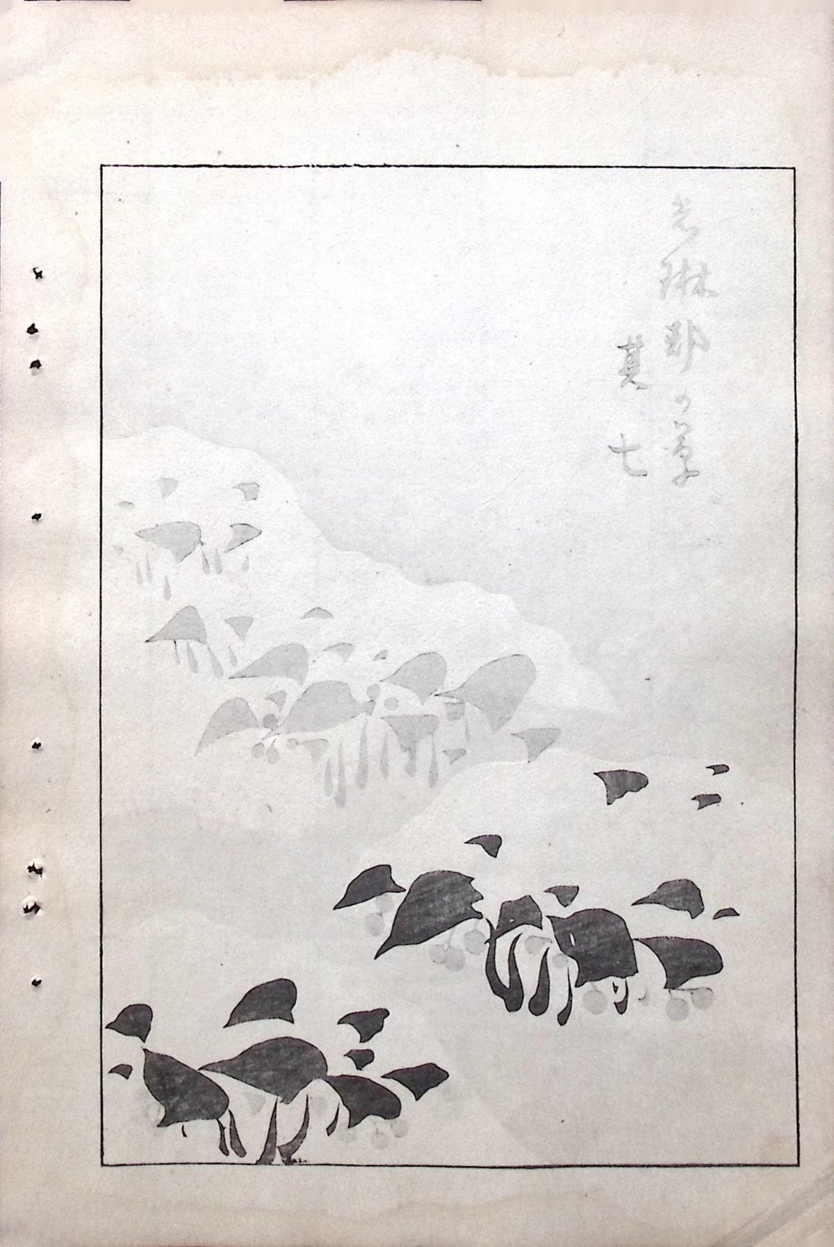 Japanese Antique Original Woodcut Print, c 1900, Bijutsukai 6, Sekka, Korin