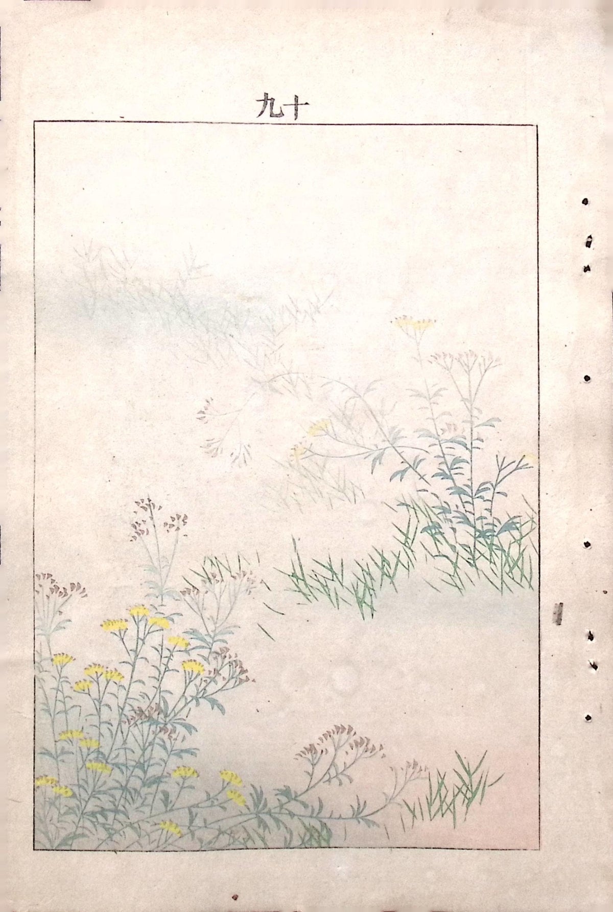 Japanese Antique Original Woodcut Print, c 1900, Bijutsukai 6, Sekka, Korin