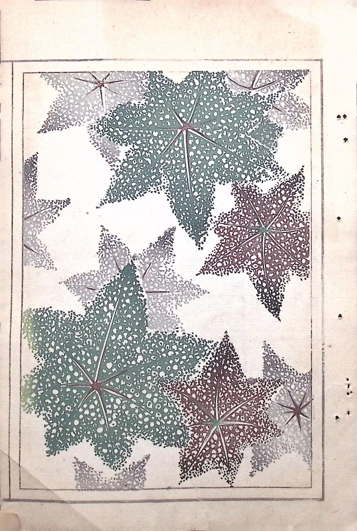 Japanese Antique Original Woodcut Print, c 1900, Bijutsukai 7, Sekka, Korin