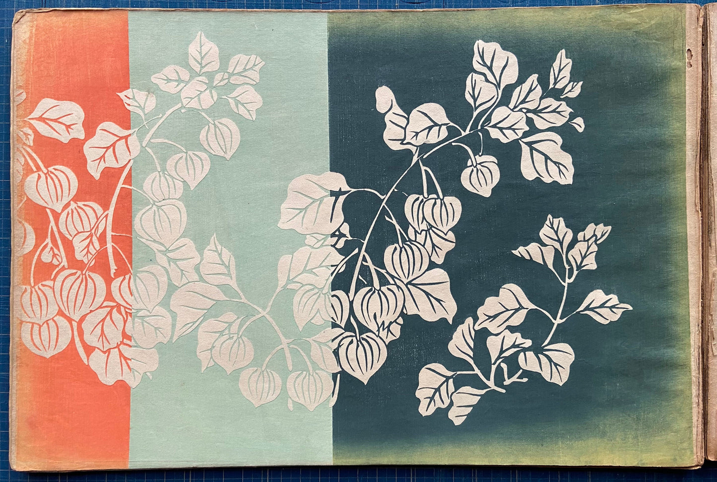 Japanese design, antique, woodcut print, 1903, Kamisaka Sekka, Chikusa.