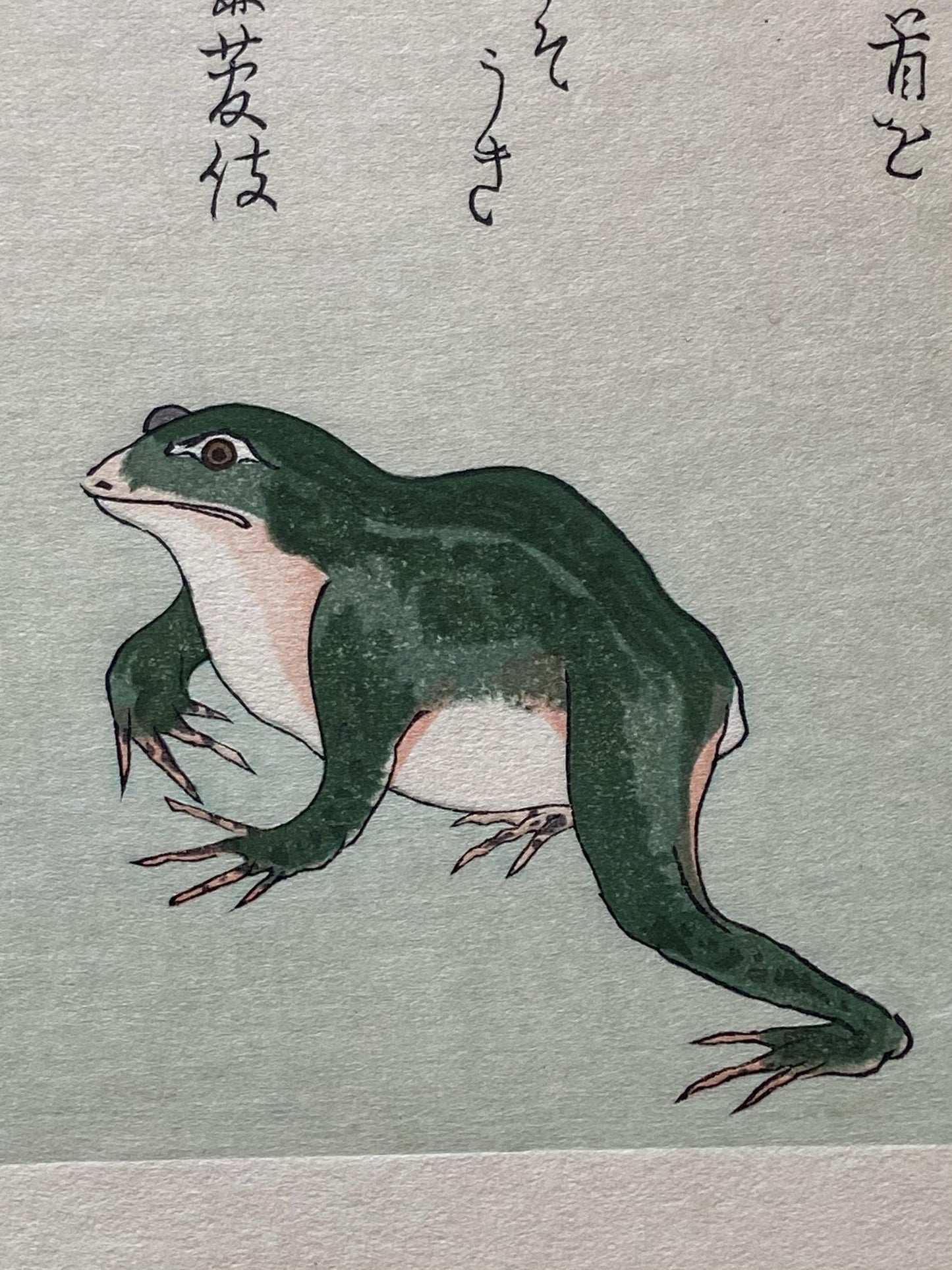 Japanese Ukiyoe, woodcut print, Utamaro, "Frog (Kaeru) and Gold Beetle (Koganemushi)"