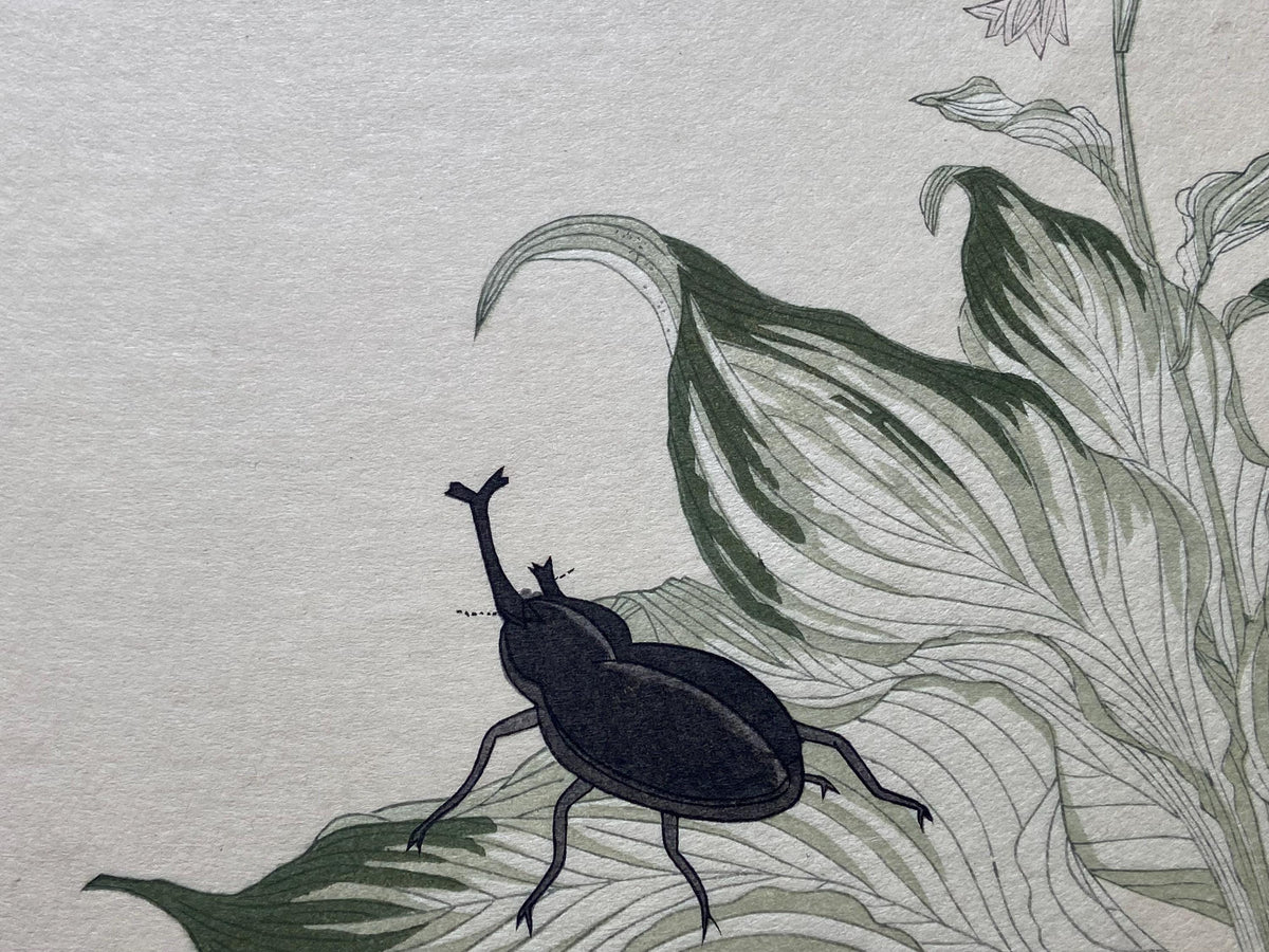 Japanese Ukiyoe, woodcut print, Utamaro, "Horned Scarab Beetle (Kabutomushi) and Bagworm (Minomushi)"