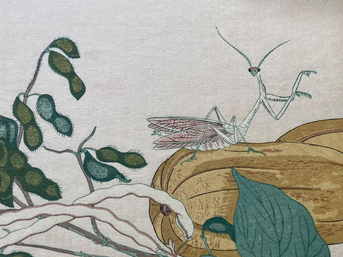 Japanese Ukiyo-e Woodblock print, Utamaro, "Praying Mantis (Tôrô/kamakiri) and Cone-headed Grasshopper (Batta)"