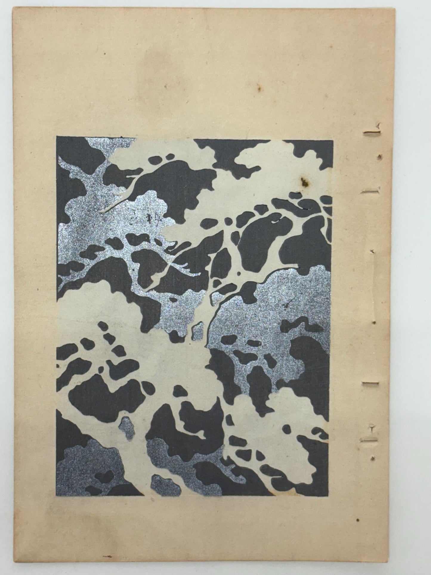 Japanese woodblock print, Around 1900, Shin-Bijutsukai 10