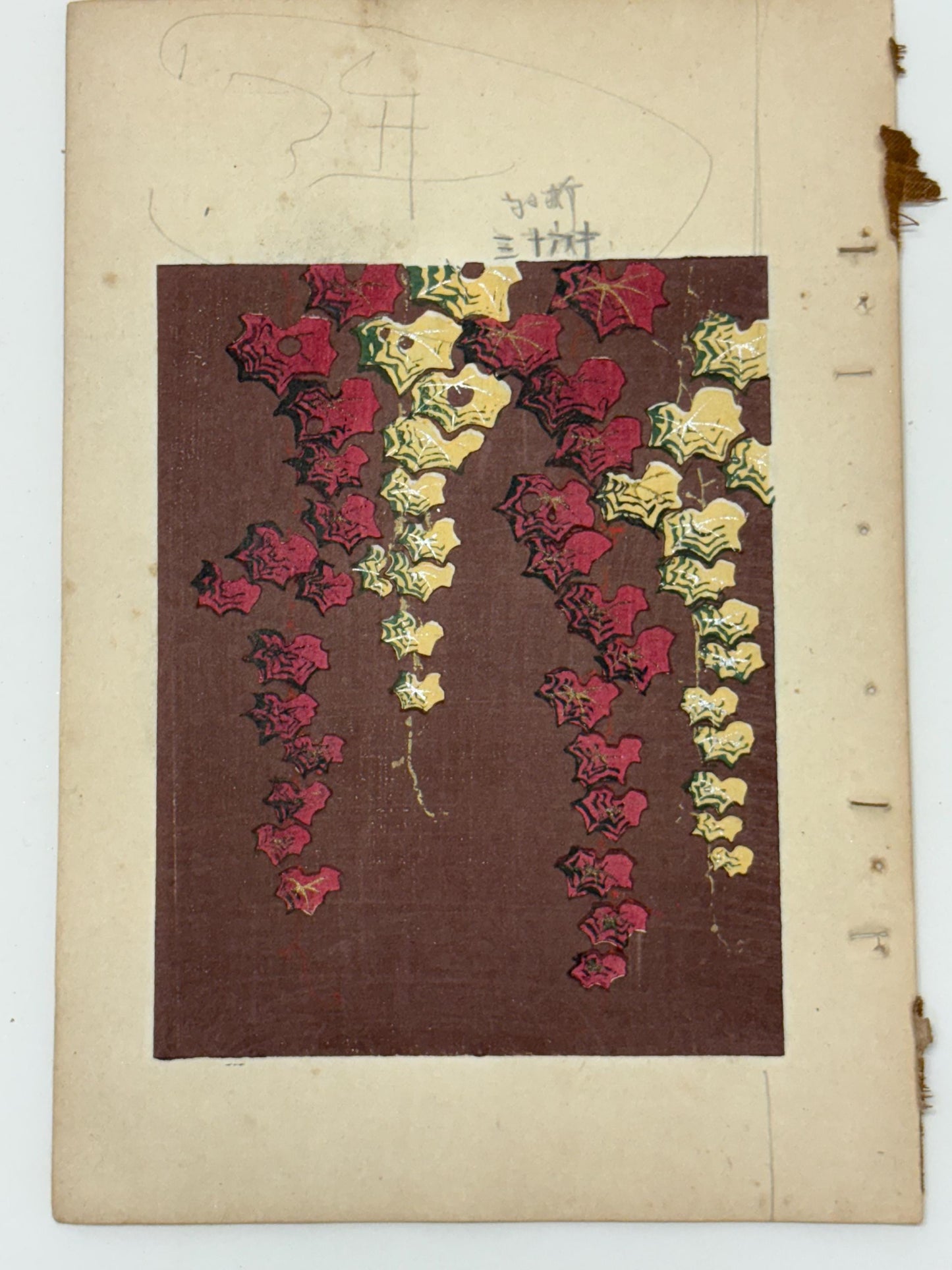 Japanese woodblock print, Around 1900, Shin-Bijutsukai 12