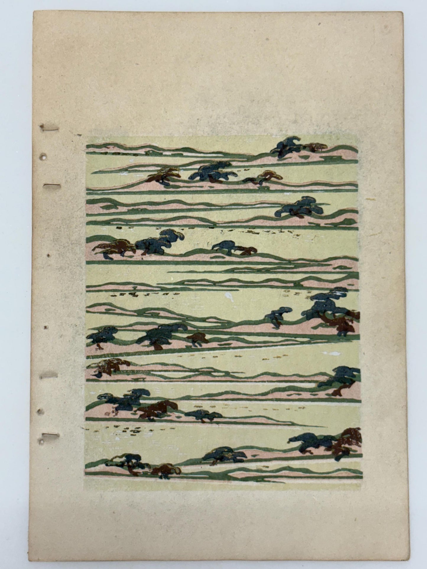 Japanese woodblock print, Around 1900, Shin-Bijutsukai 12