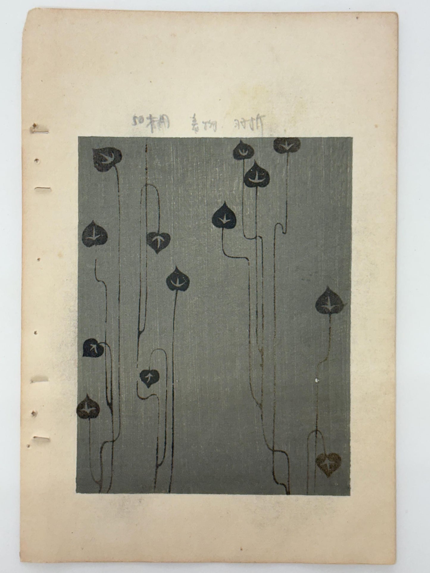 Japanese woodblock print, Around 1900, Shin-Bijutsukai 12
