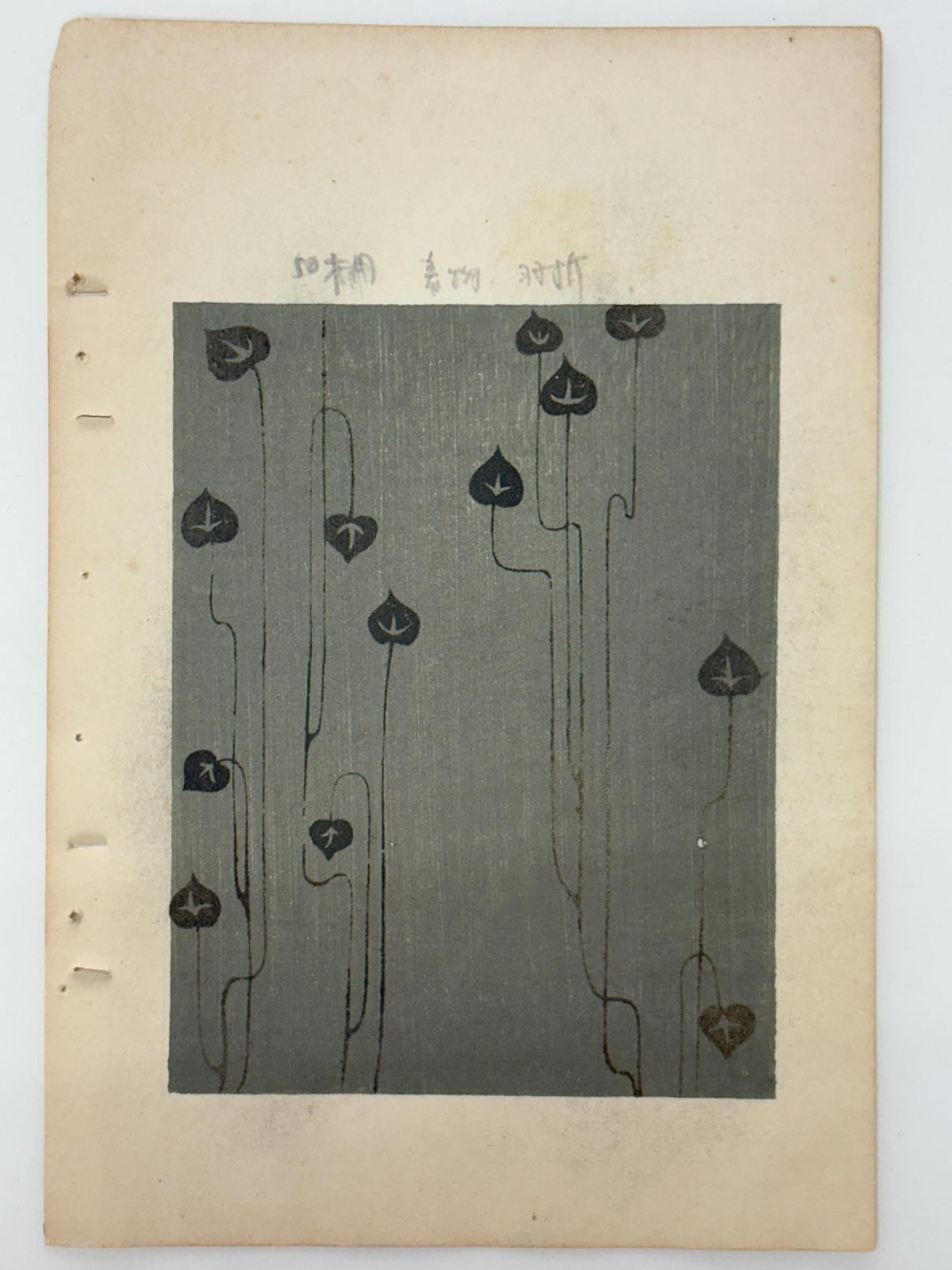 Japanese woodblock print, Around 1900, Shin-Bijutsukai 12