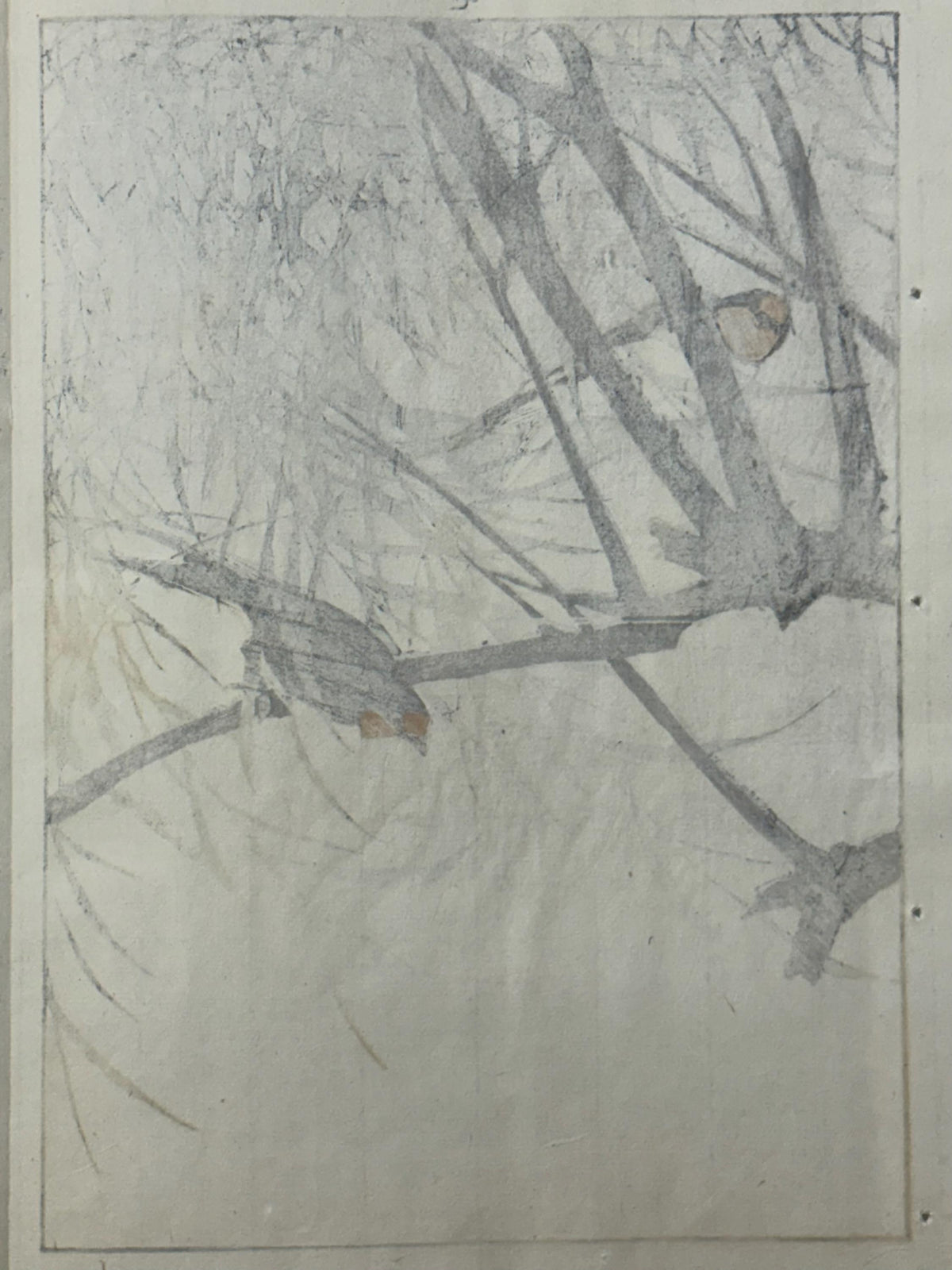Japanese Antique Original Woodcut Print, 1892, Imao Keinen, "Willow, Swallow "